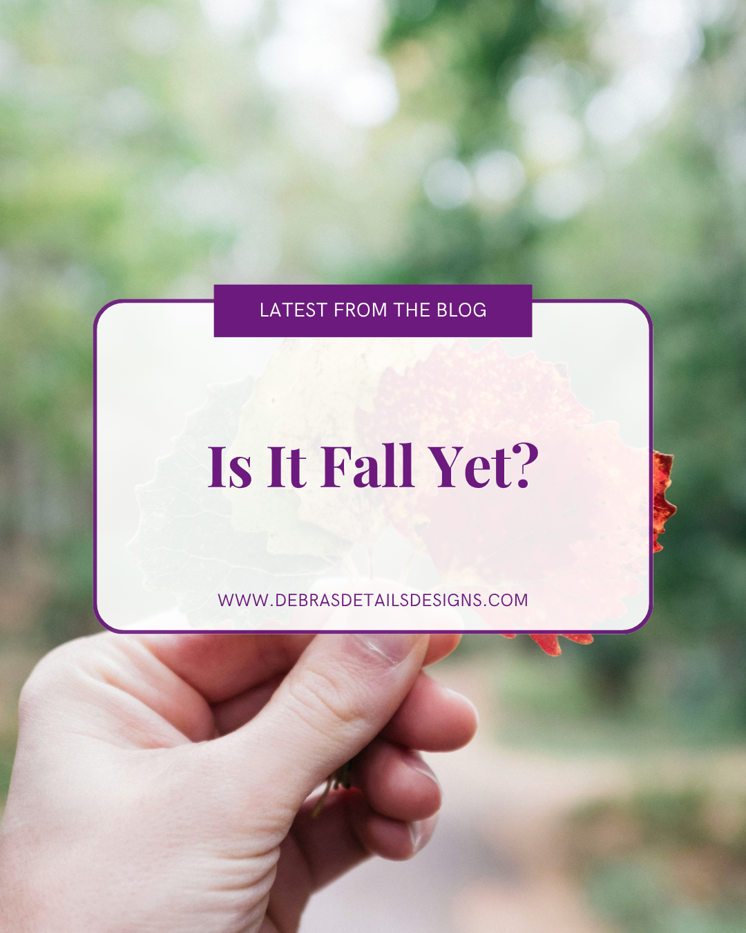 Is It Fall Yet?
