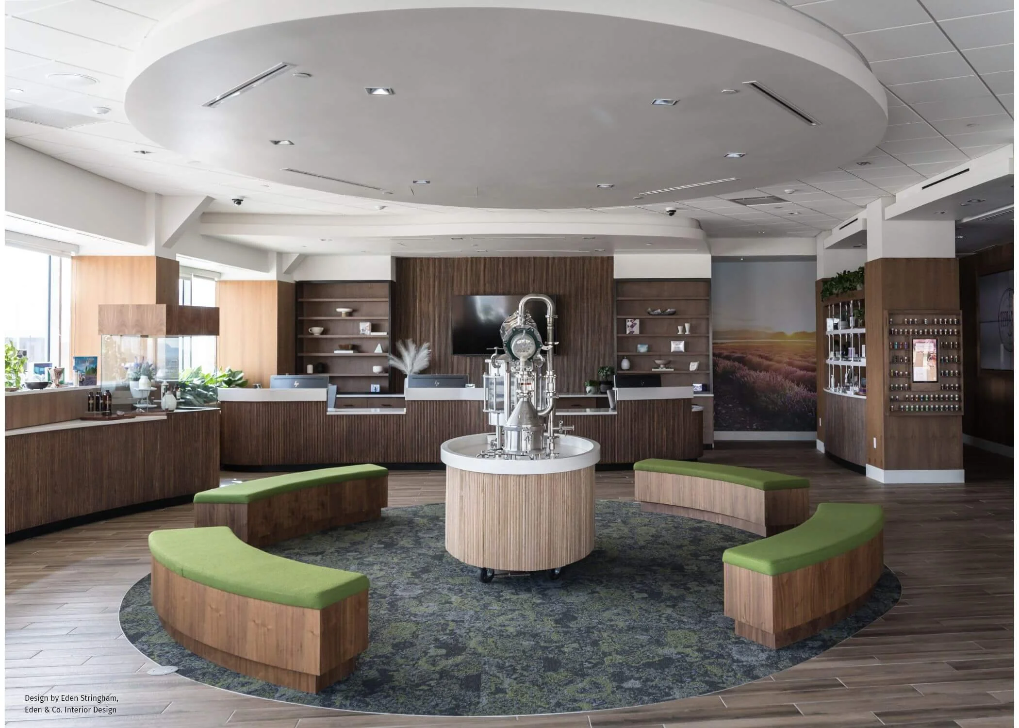 young-living-02.jpg