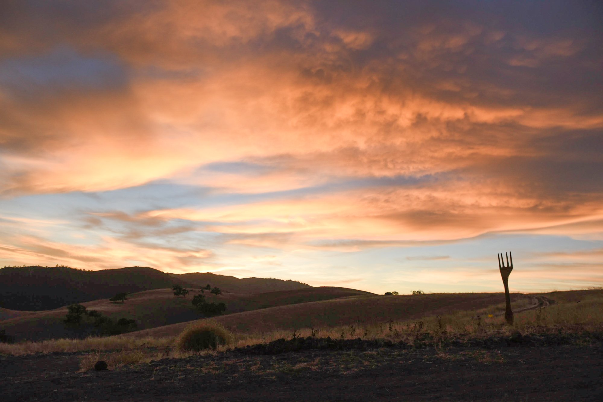 Fork in the Road Sunset.jpg