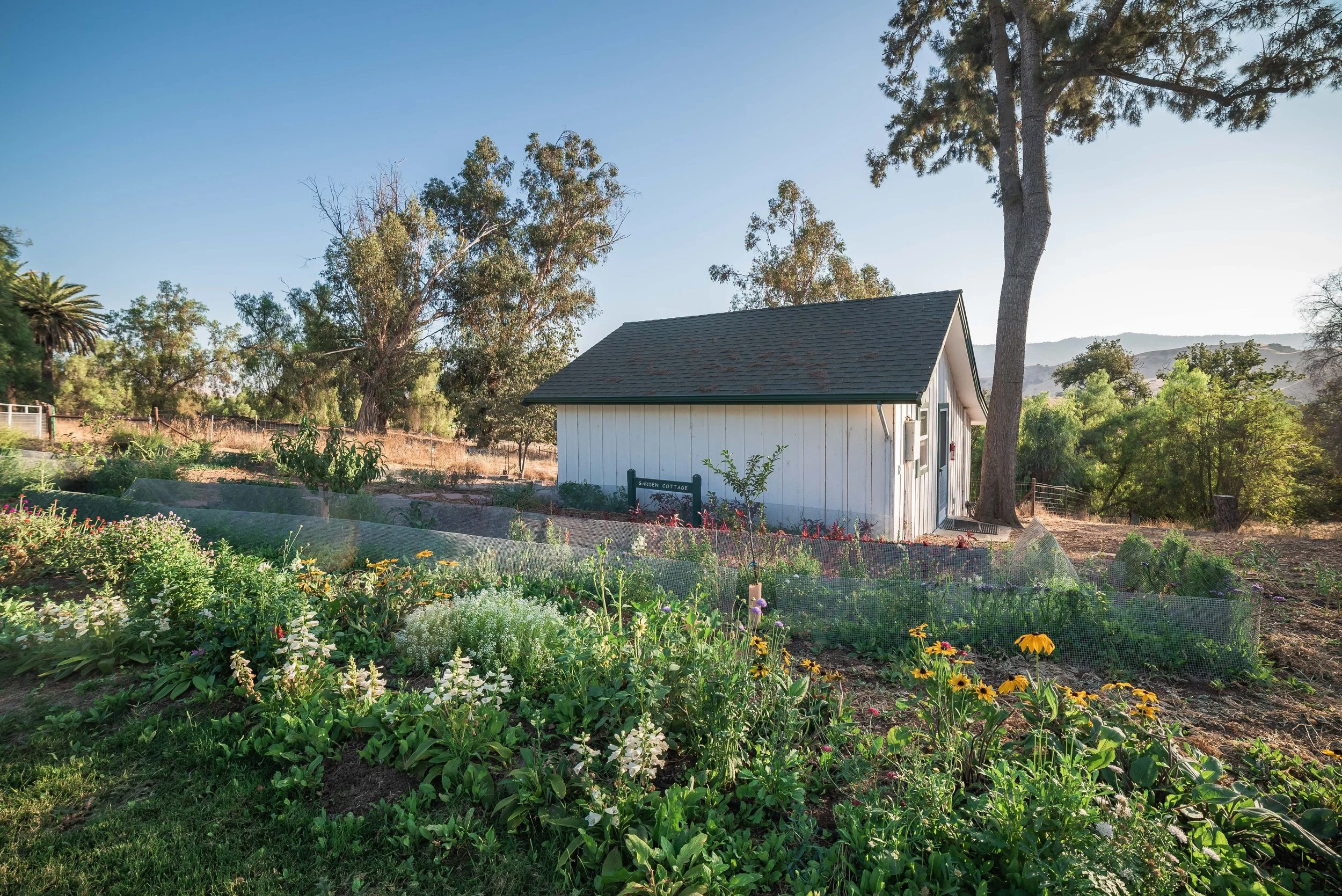 GardenCottage-FrontGarden.jpg