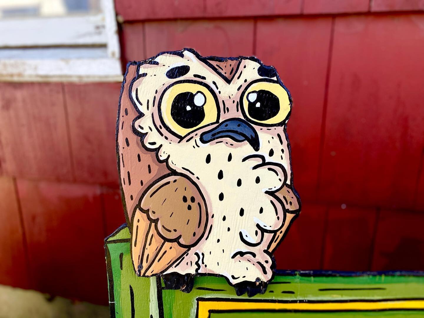 THE CRITTER CREW

5: The Owl

HOO&rsquo;s a cool bird? Owls are! It feels unfair to lump such an amazing feathered friend into one word since there&rsquo;s over 200 species of owls!

Swipe right to learn more about this majestic creature!

Any guesse