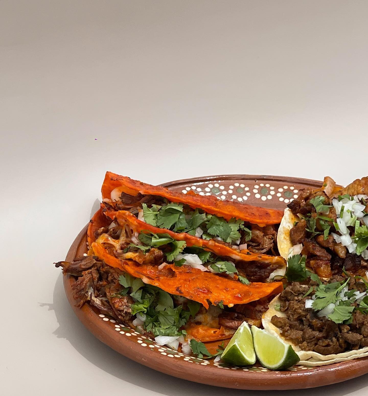 QuesiBirria Tacos are thriving right now! #birriatacos #tacosandbeer #tacos #tacolover