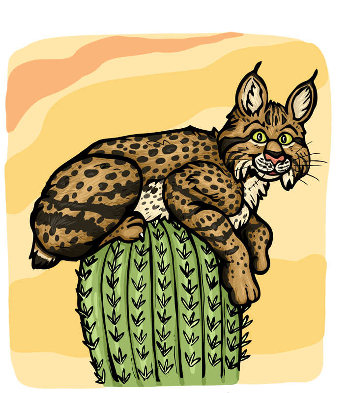 Cactus Bobcat Sticker  DobesCrusher- Art and Illustration