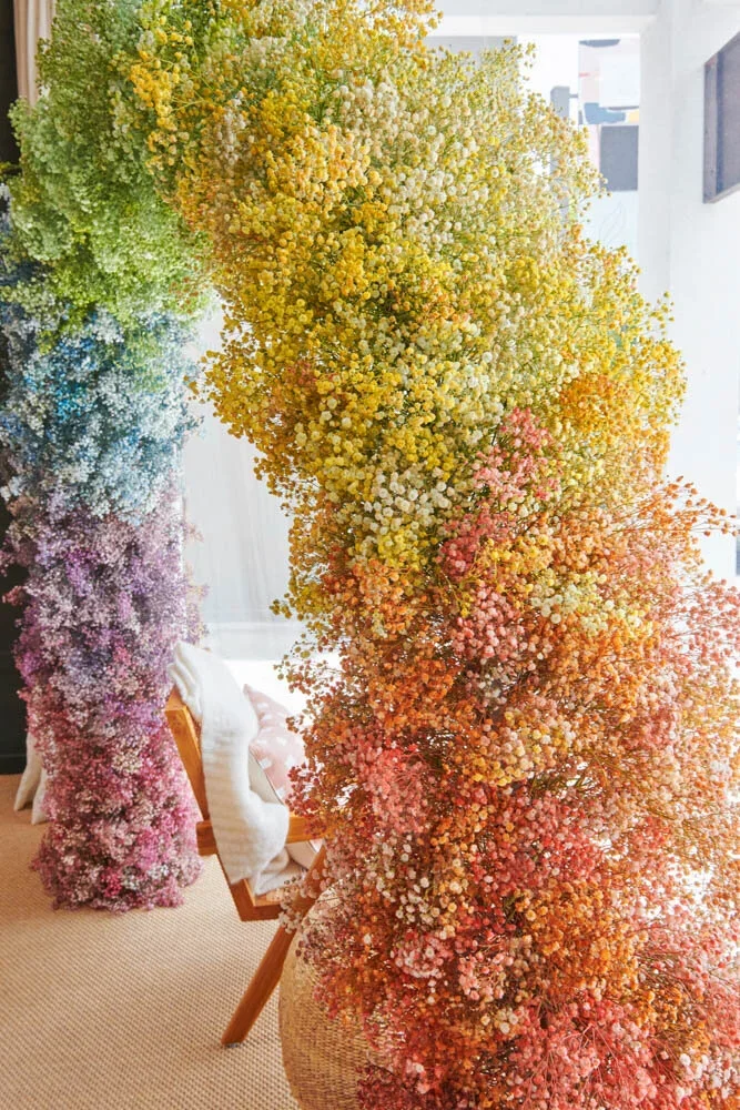 Studio+Lifestyle+Rainbow-8.webp
