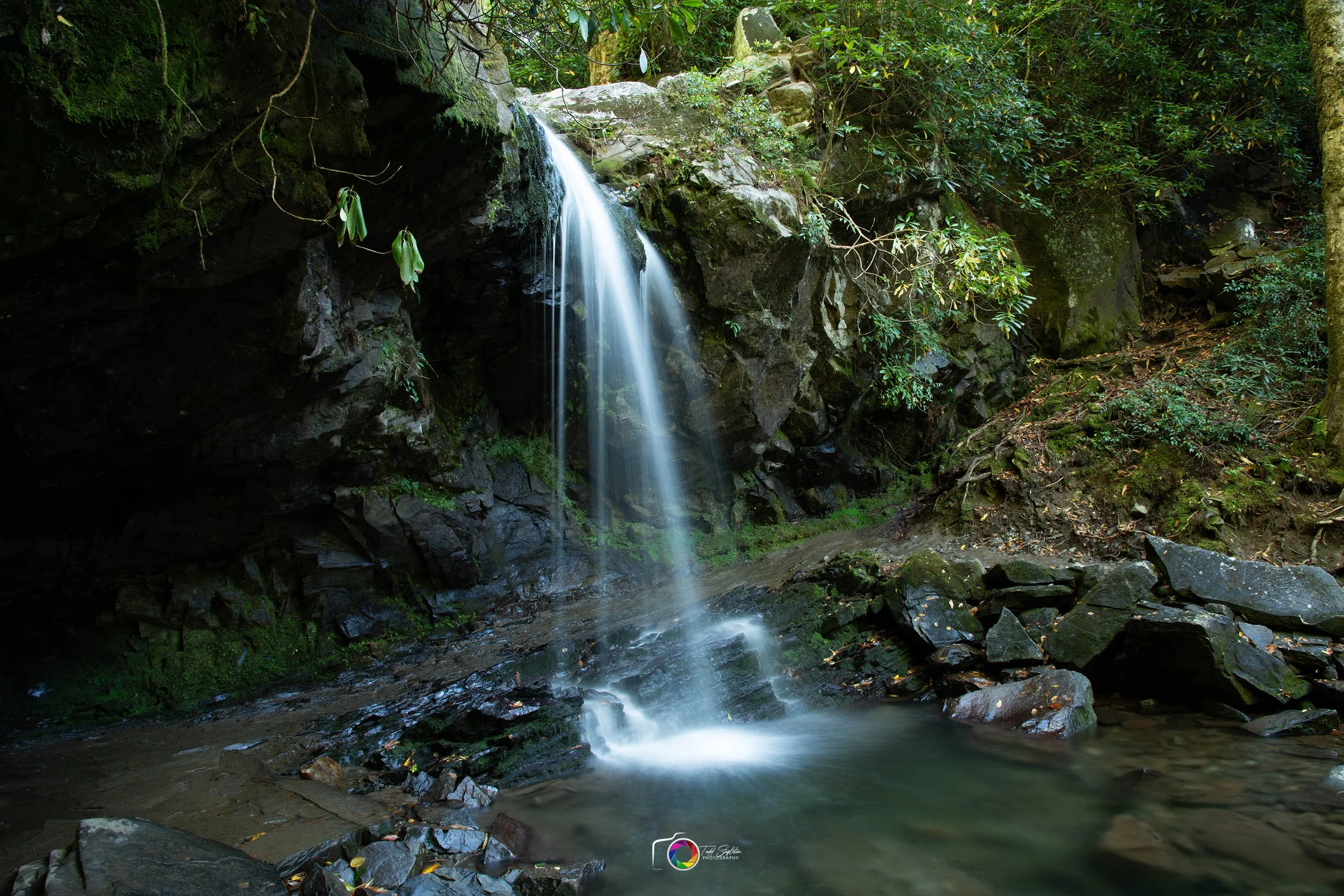 Grotto Falls (2022)