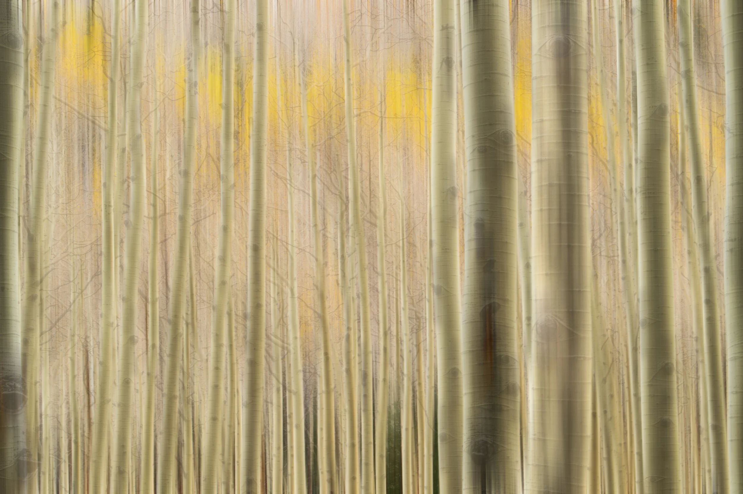 Aspens (2015)