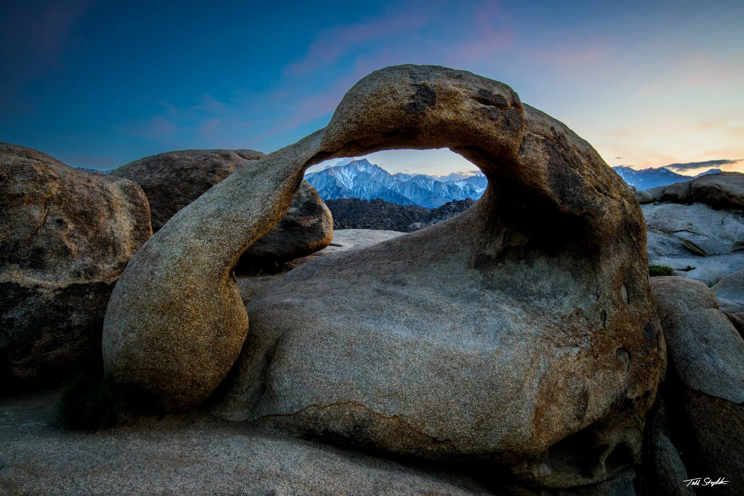 339 Artistically Framed [California - 2025 -  1752].jpg