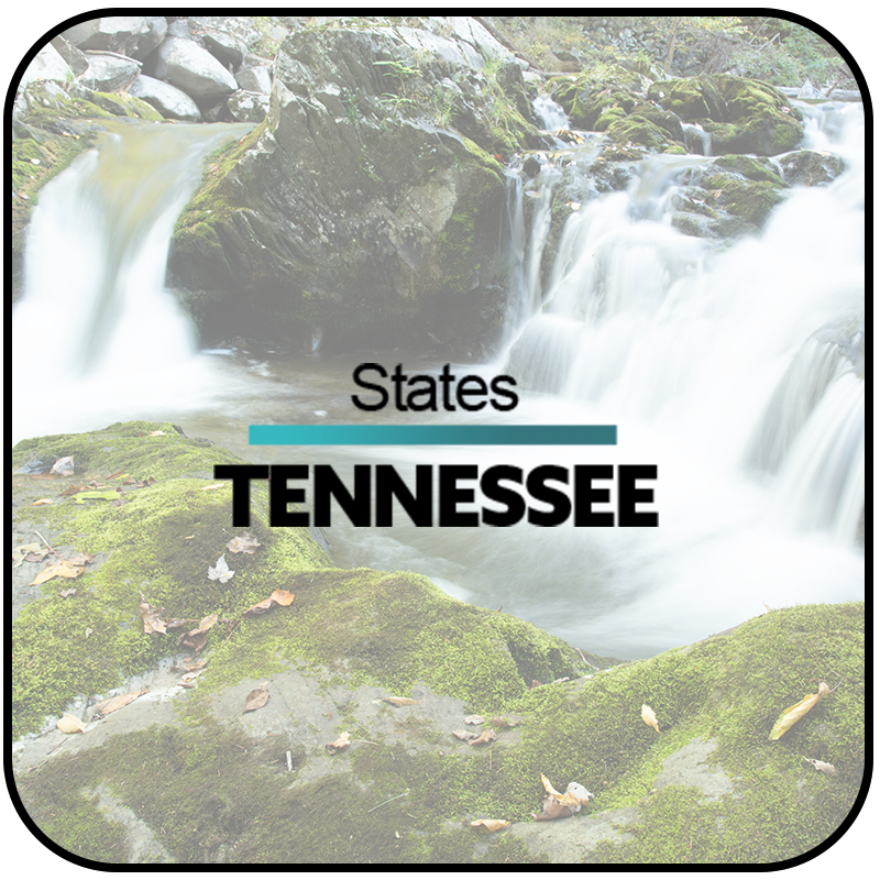 21_TENNESSEE_rounded.png