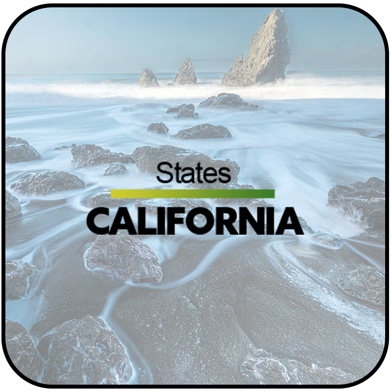 20_CALIFORNIA_rounded.png