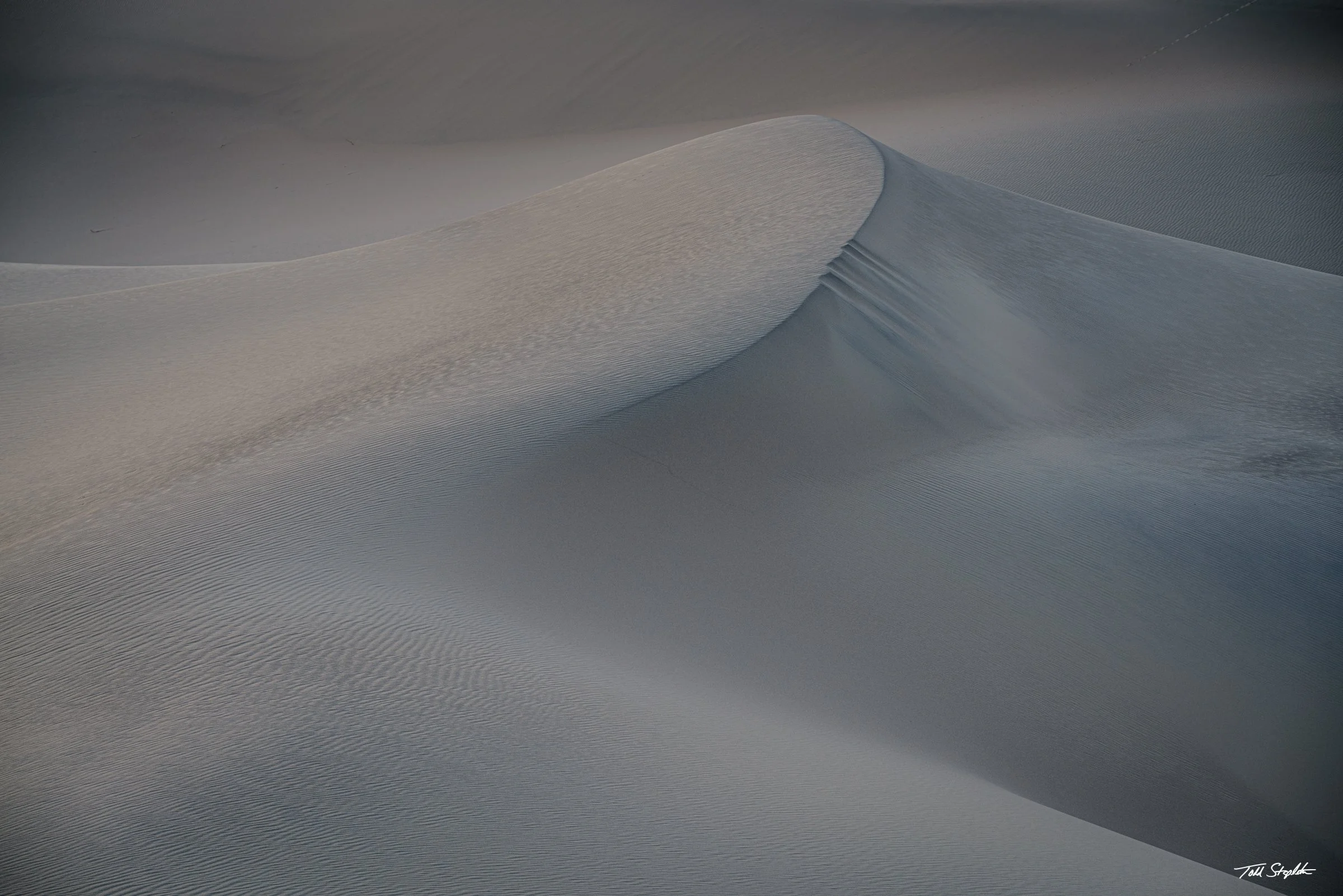 348 Fragile Sands [California - 2025 -  1492].jpg