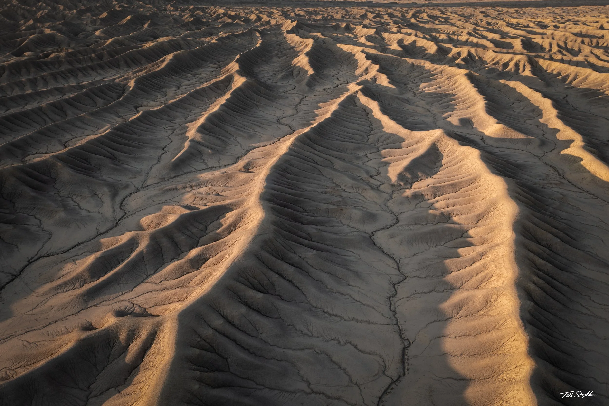 279 SHADOWS & LIGHT [Utah 2024 - 0983].jpg