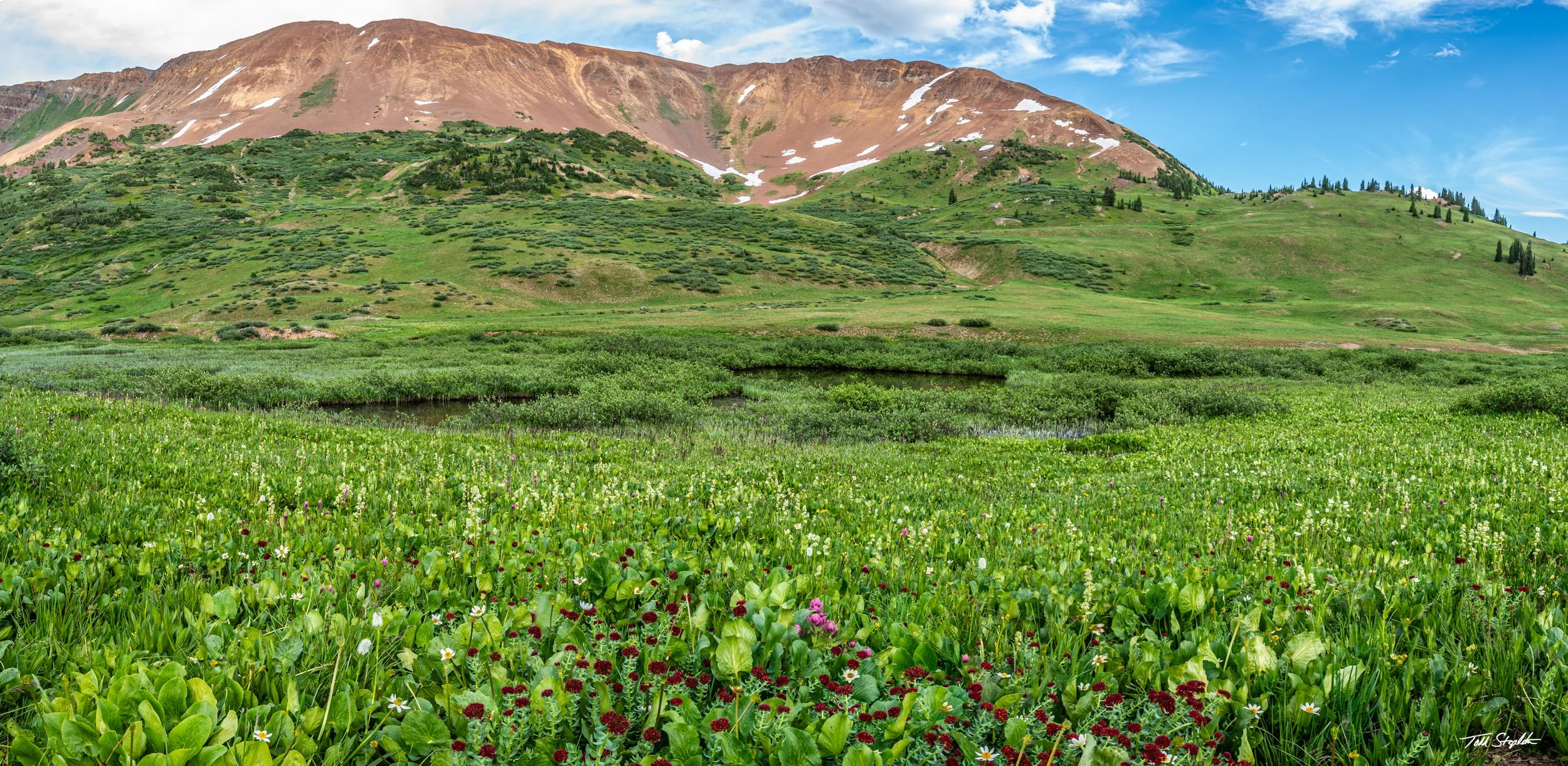 Paradise Basin (Panorama - 2023)