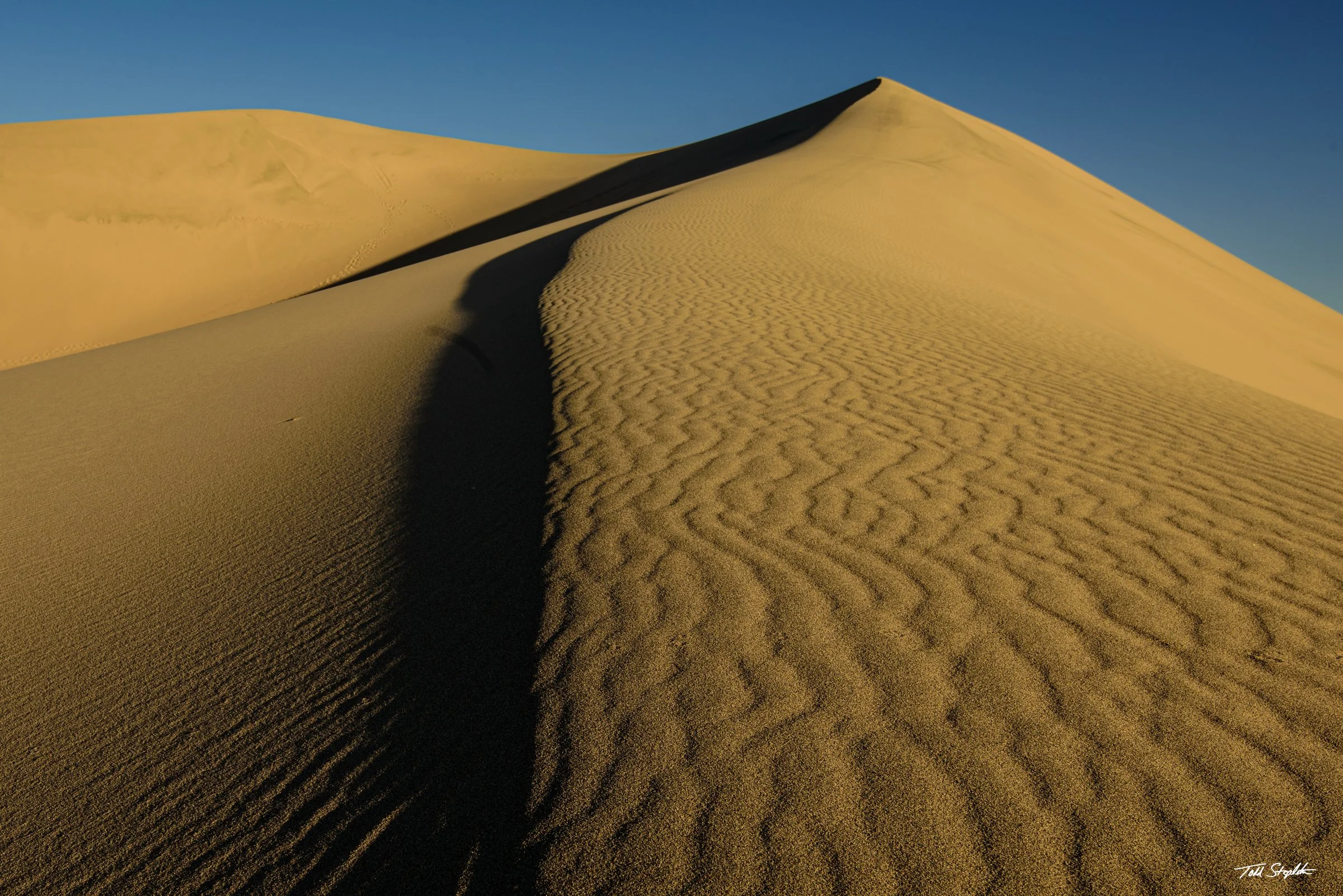355 Light Division [California - 2025 -  8105811].jpg
