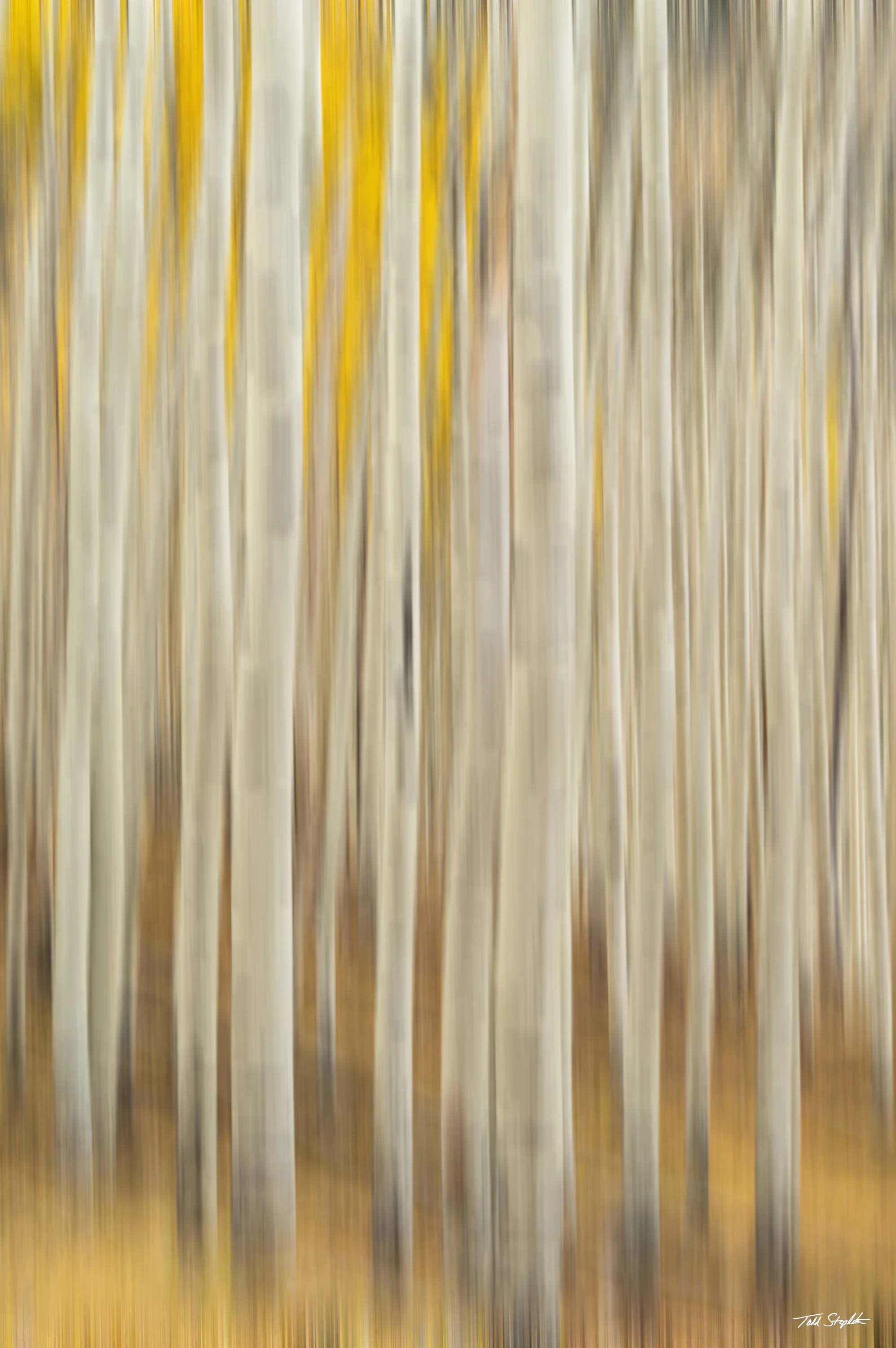 232 ASPEN ABSTRACT [Arizona -2015 - AZ-0242-BLUR].jpg