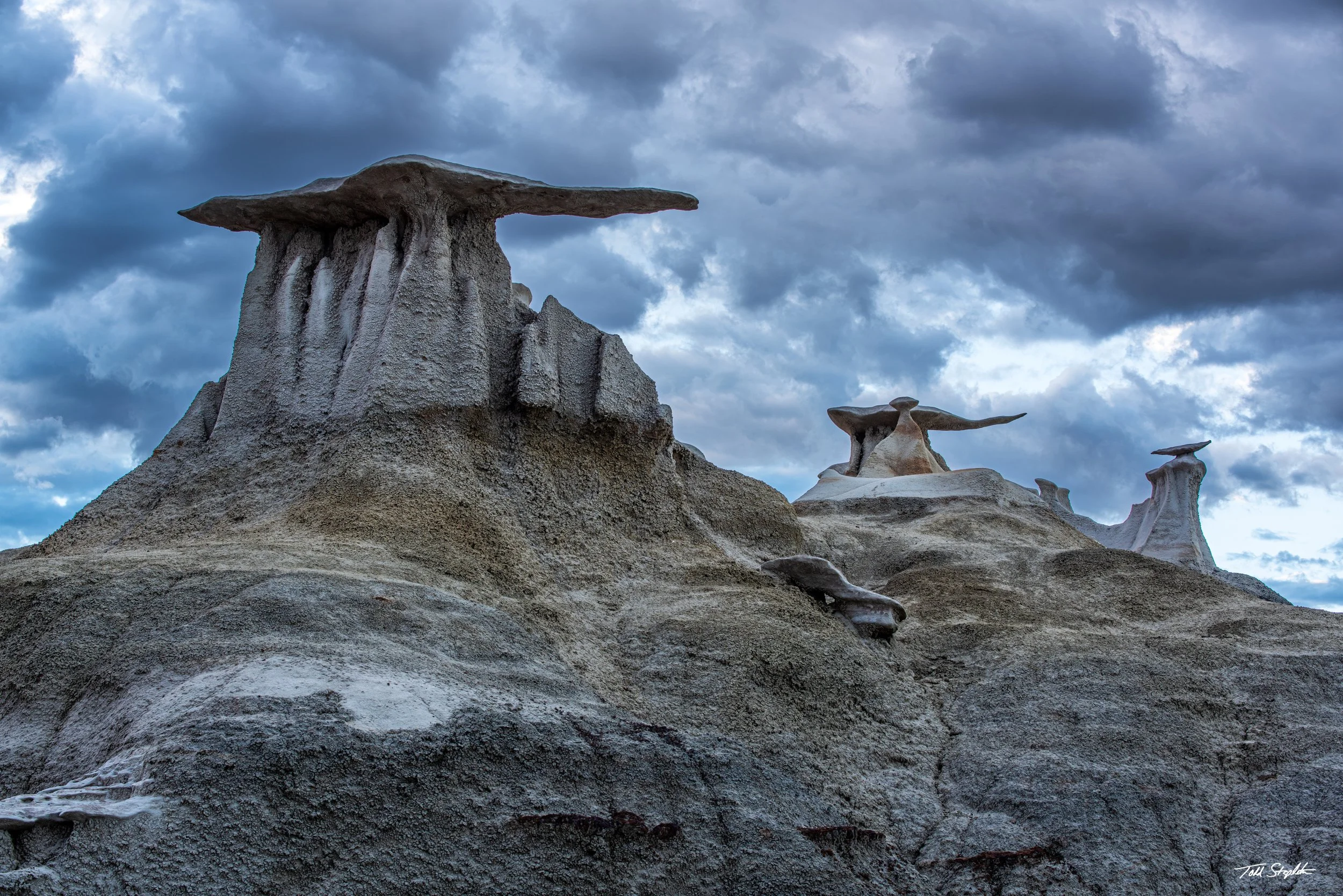 013 THE WINGS OF BISTI [Bisti 2023 - 8810].jpg