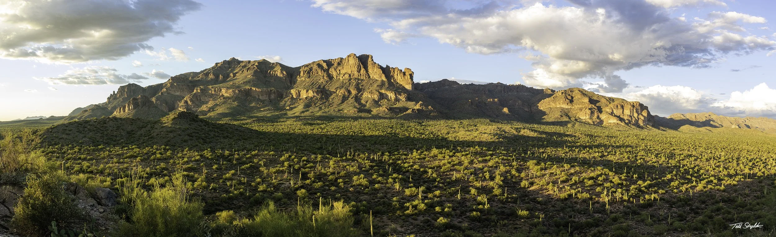 Superstition Panorama (Panorama - 2022)