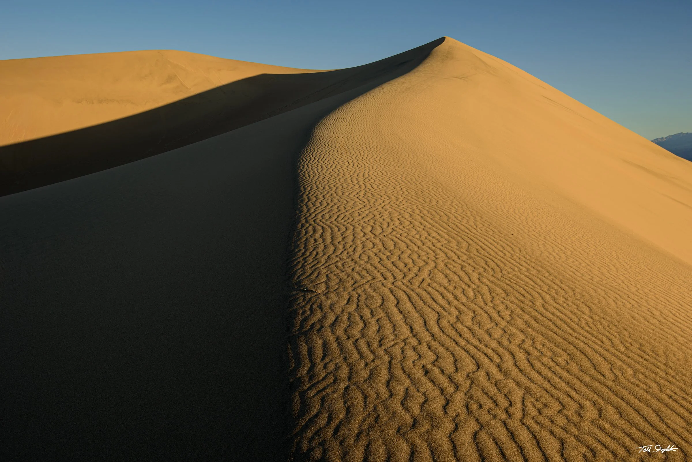 Curve Shadow (2025)