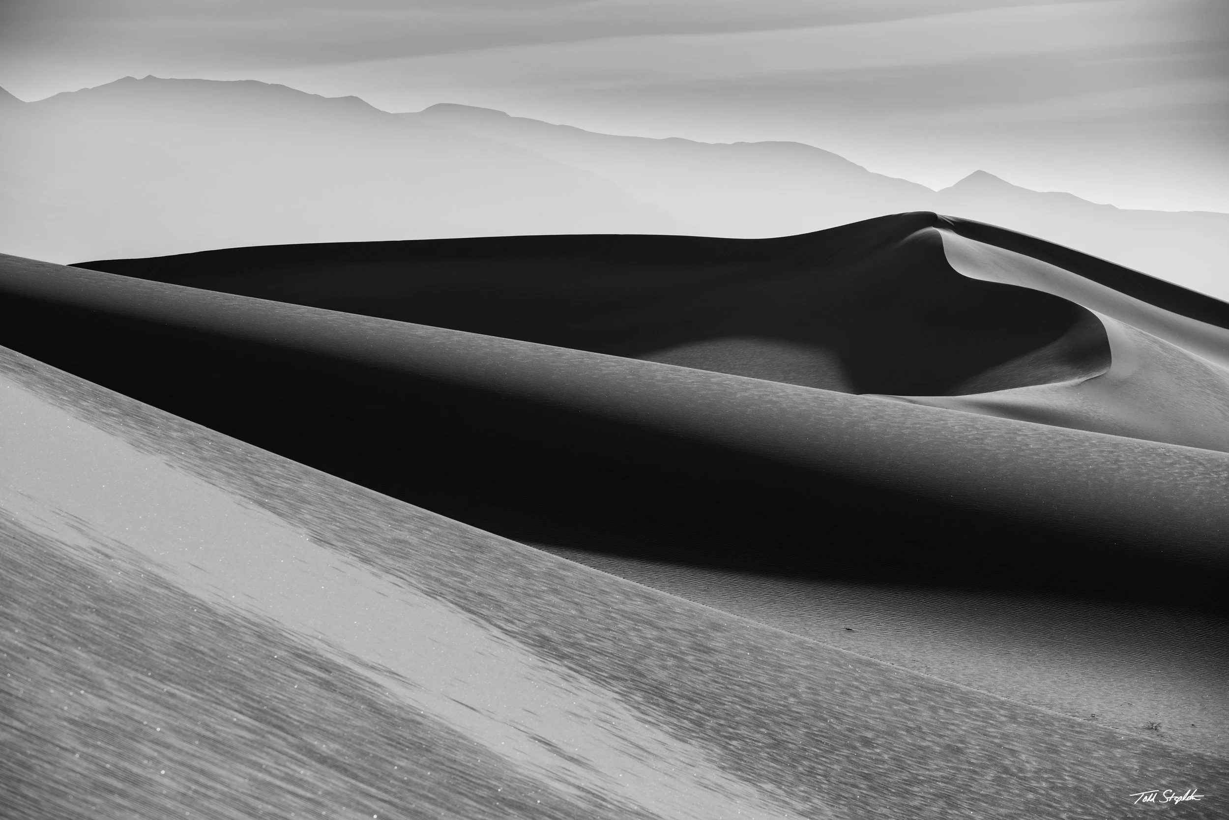 372 - MONOCHROME MORNING [California - 2025 2168].jpg