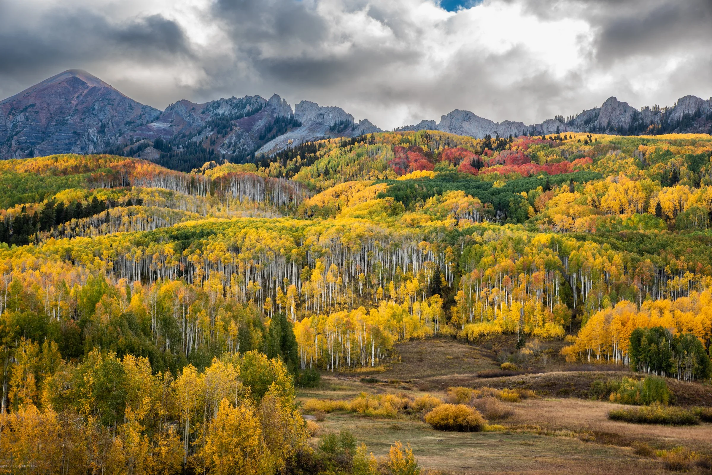 01 - COLORADO GLORY-9325 (50).jpg
