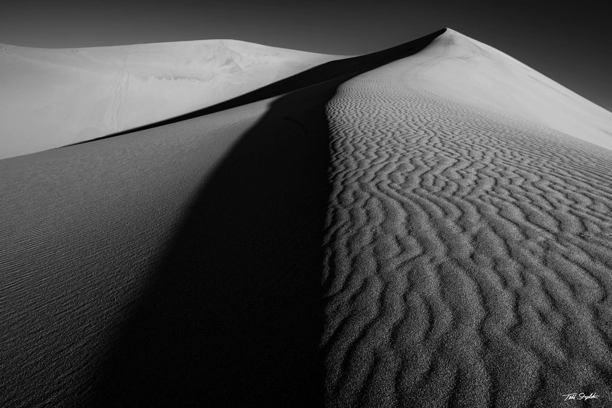 369 - THE DELICATE CURVE [California - 2025 - 8105807.jpg