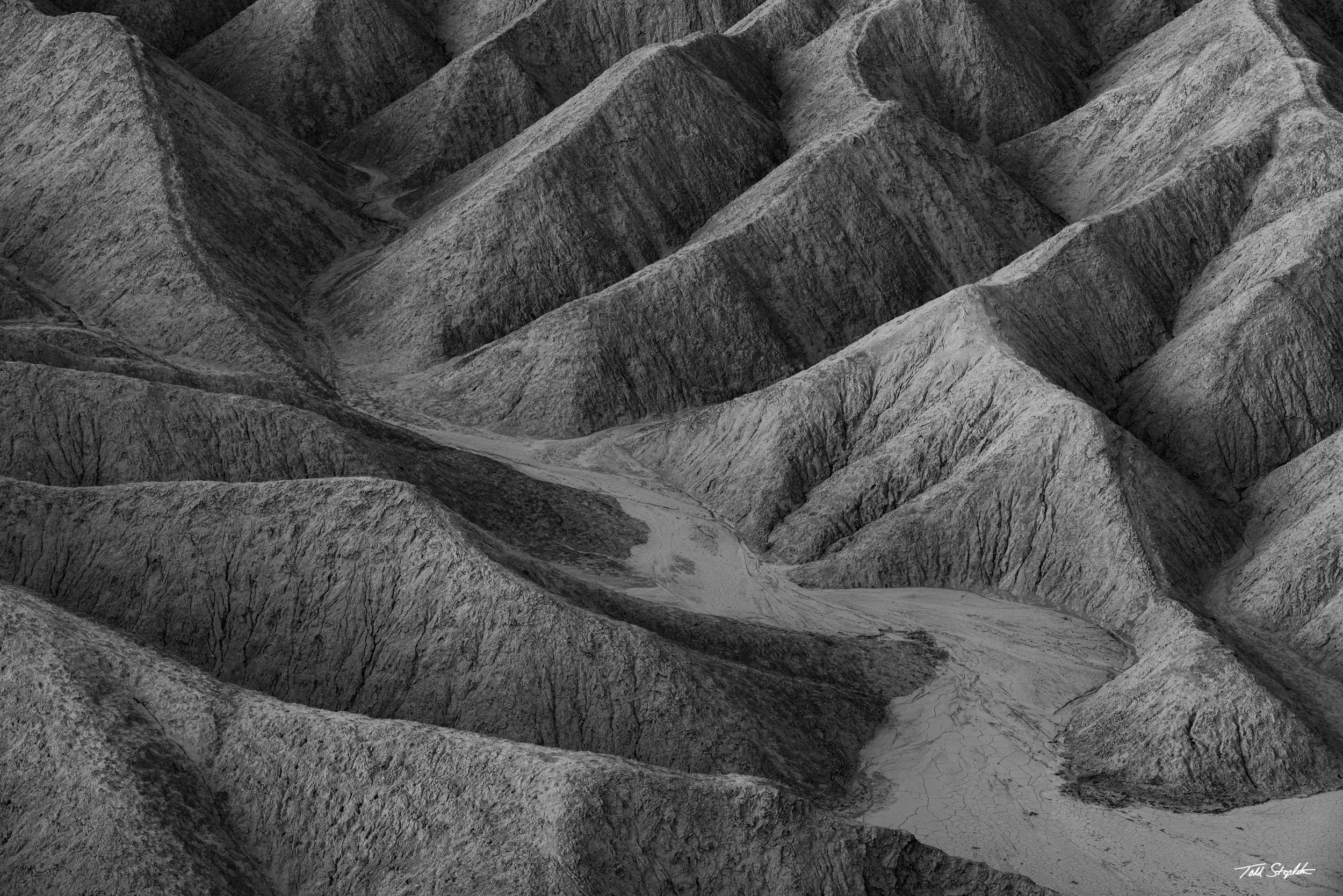 368 - SHADED RELIEF - [California - 2025 - 1411].jpg