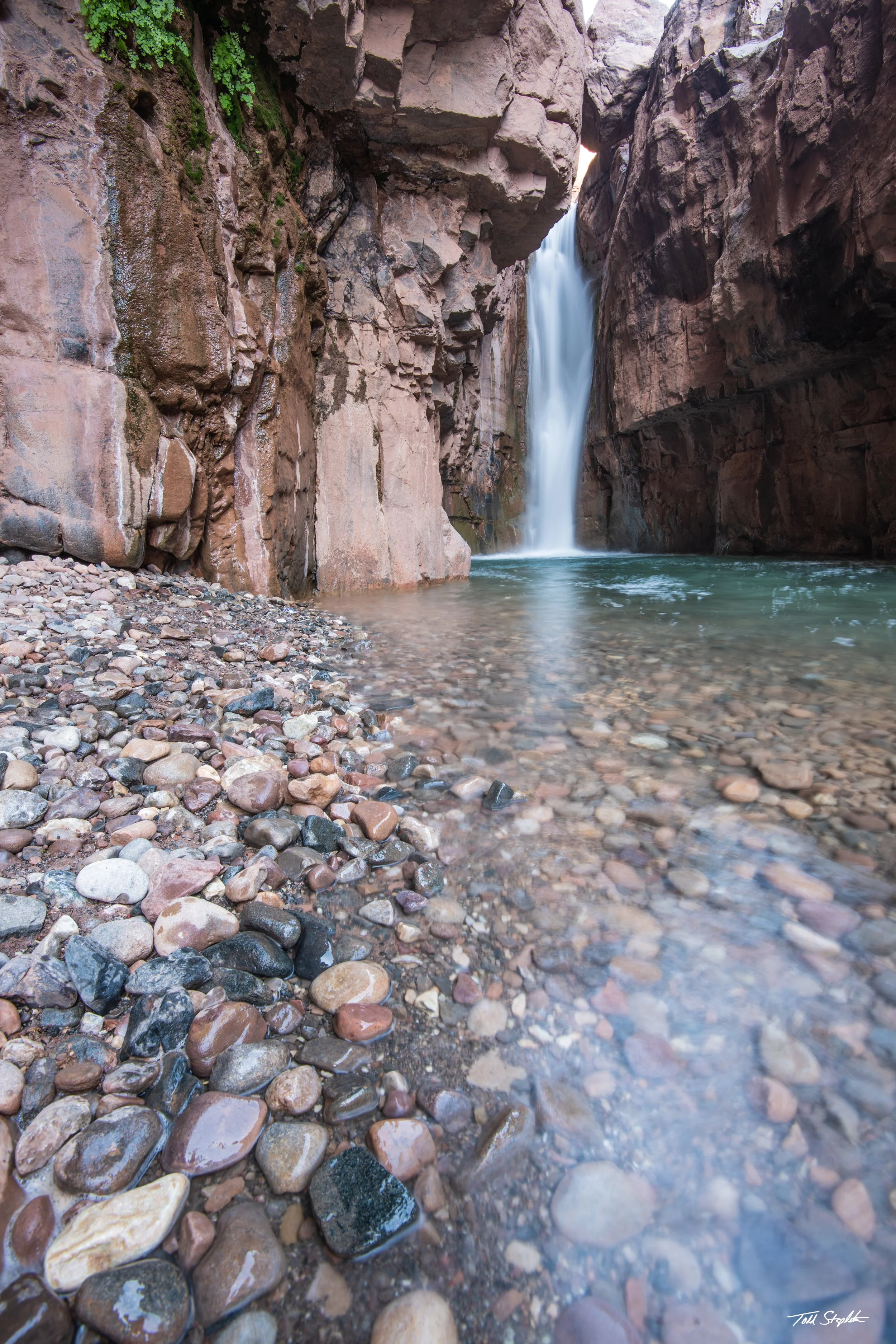 231 PERSPECTIVE [Arizona -2023 - AZ-7235].jpg