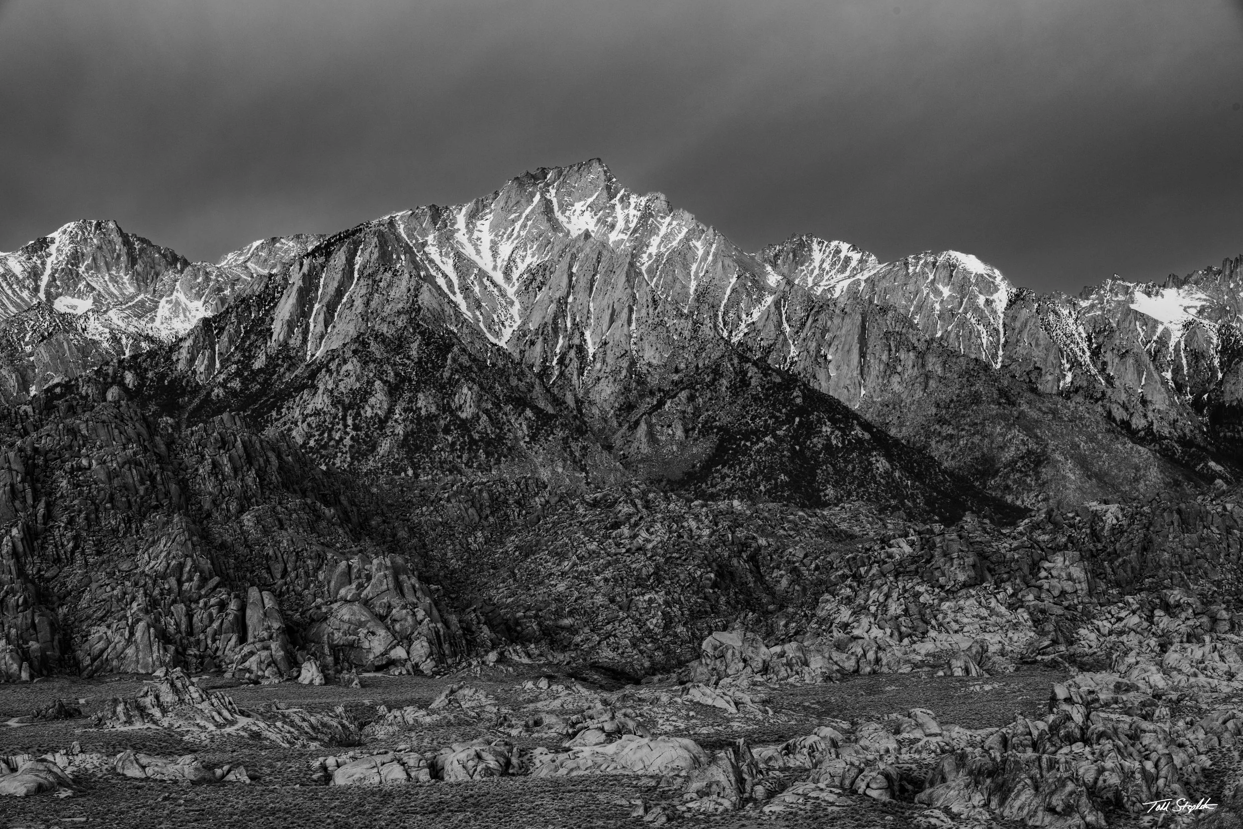 379 GOOD MORNING [California - 2025 - 8106000].jpg