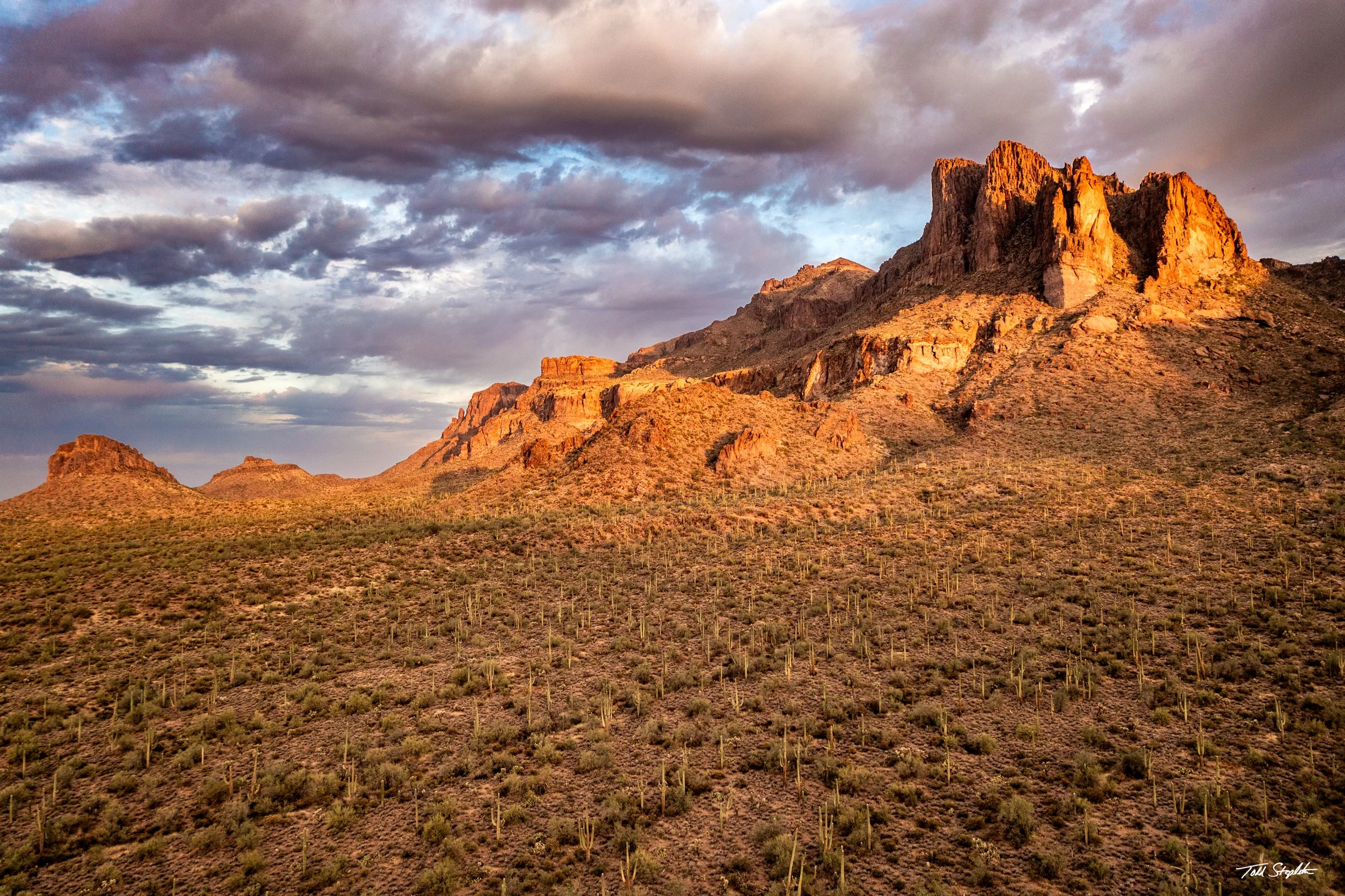 Arizona Splendor