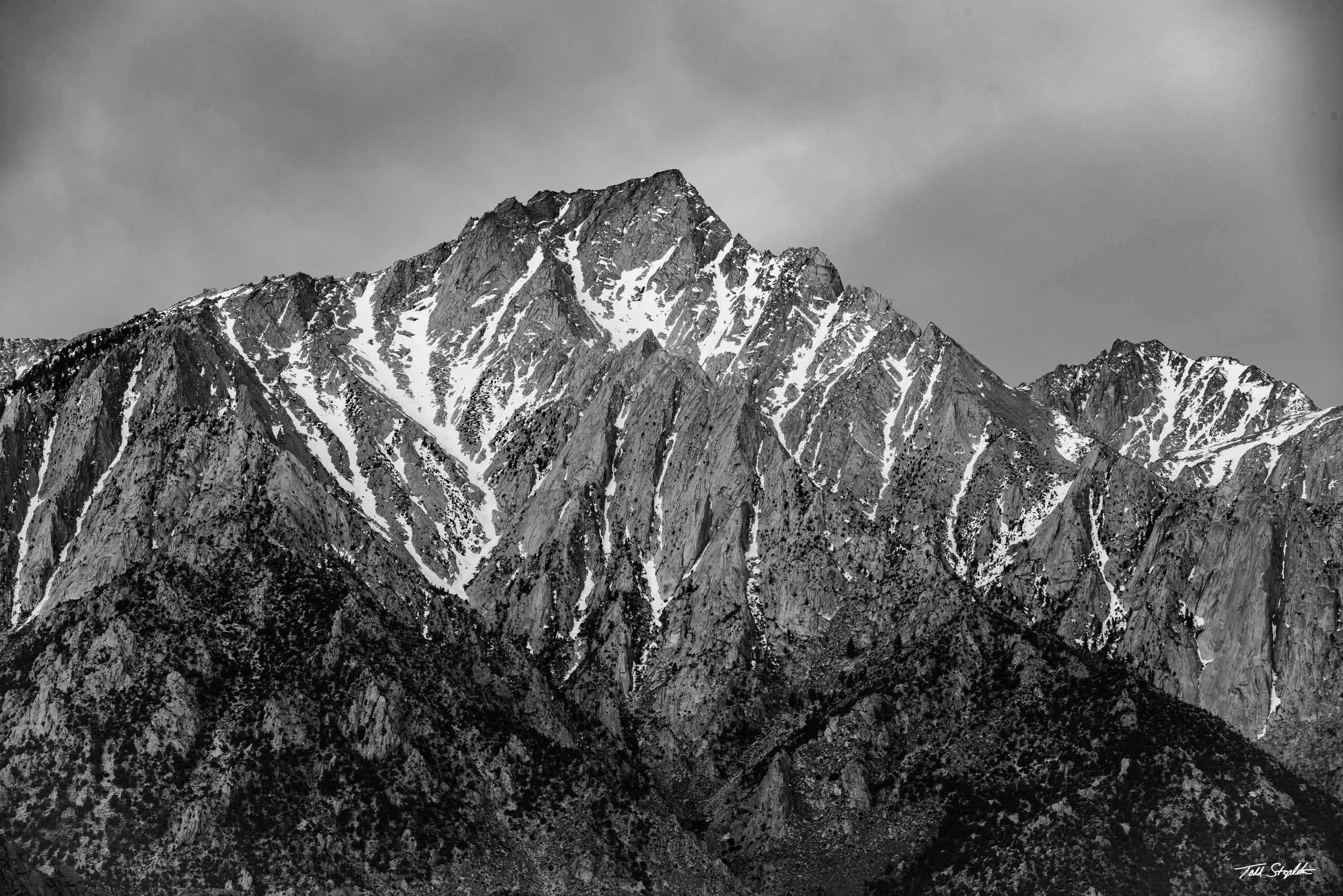 381 LONE PINE SPLENDOR [California - 2025 - 8106020].jpg