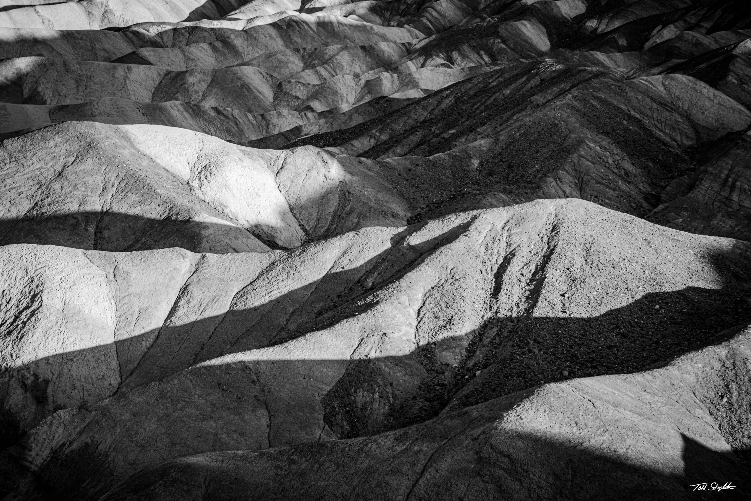374 - SHADOW PLAY [California - 2025 - 8105717].jpg