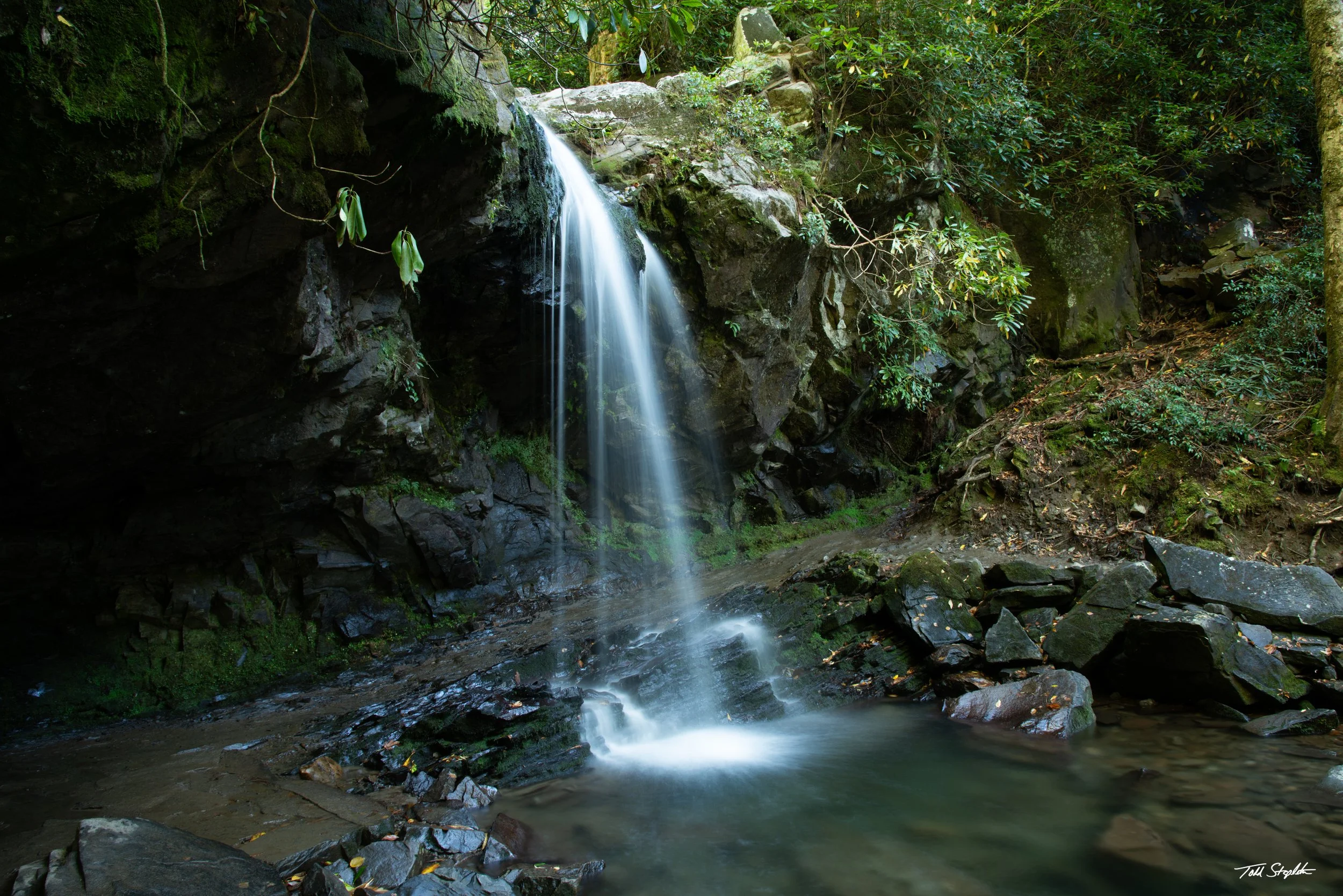 091 GROTTO FALLS [Tennessee 2022-5964].jpg