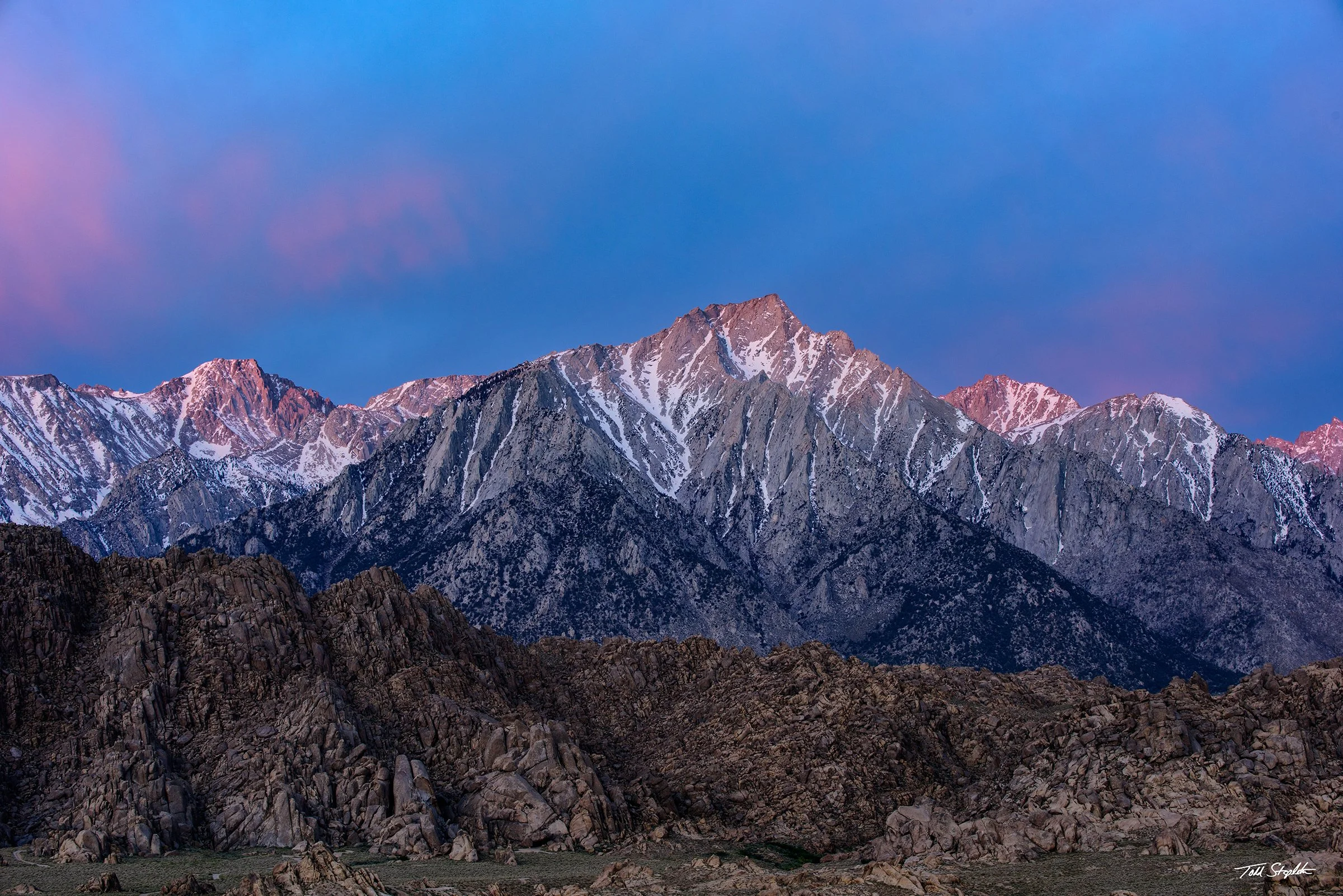 342 Majestic Morning [California - 2025 -  8106004].jpg