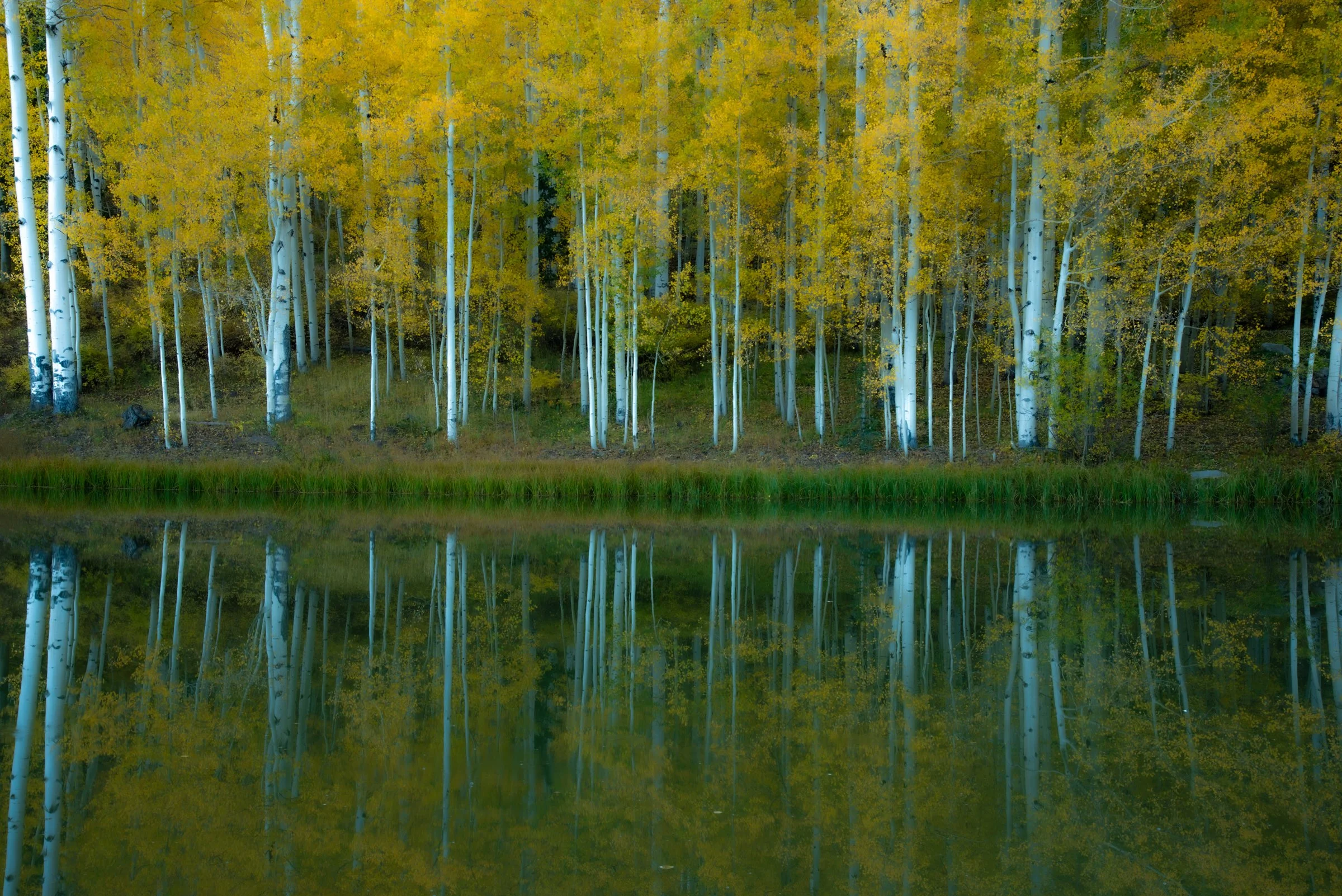 03 - REFLECTIONS-0015 (100).jpg