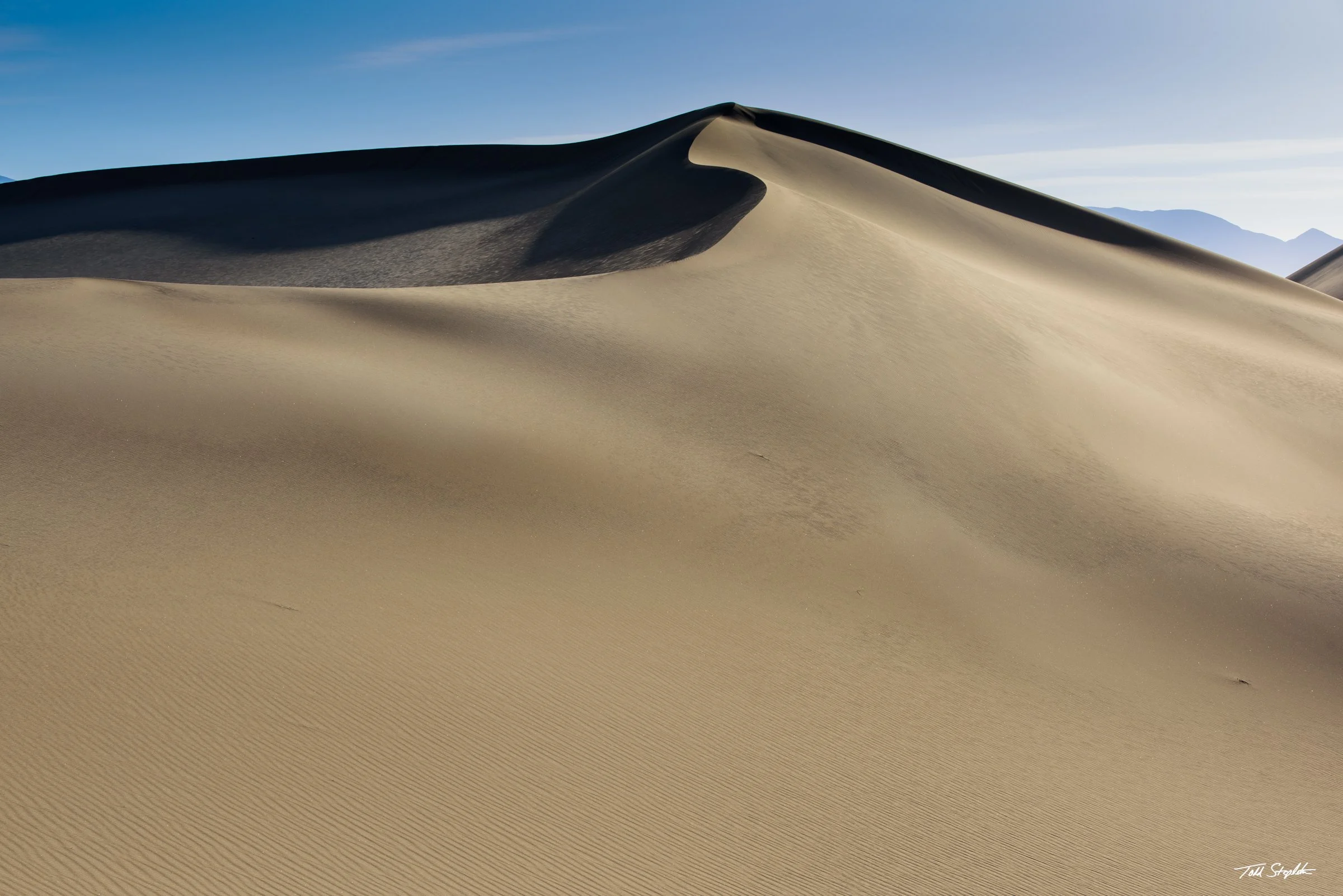 361 Dune [California - 2025 -  2174].jpg