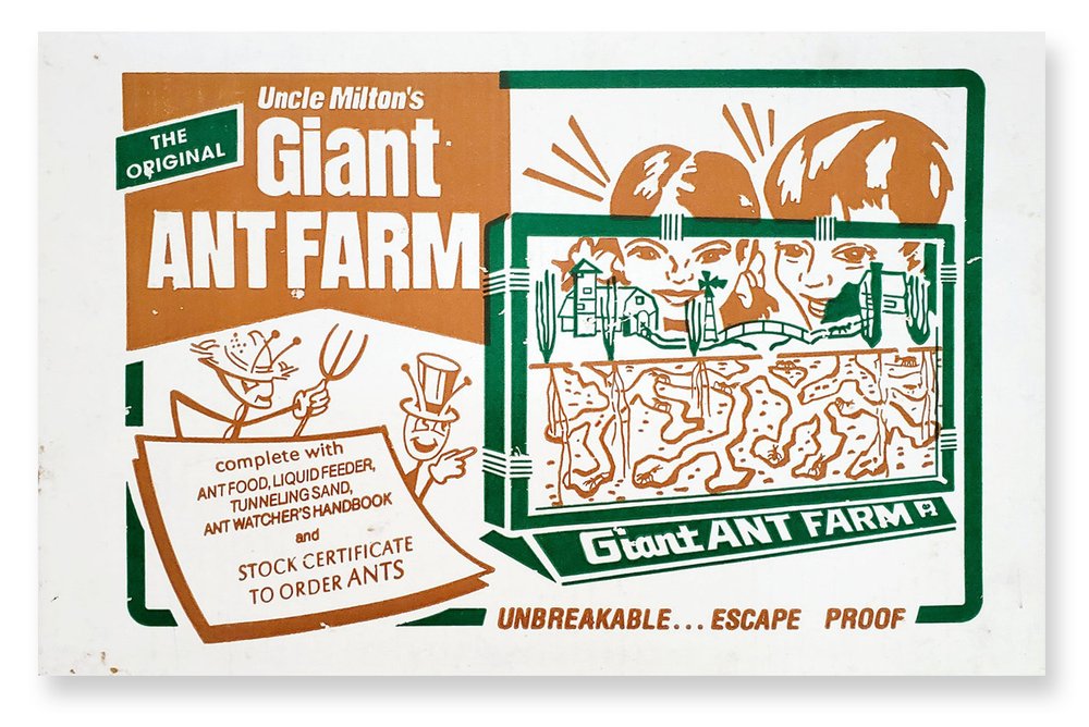 Ant Farm Package 1.jpg