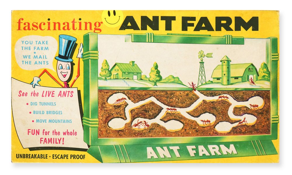 Ant Farm Package 2.jpg