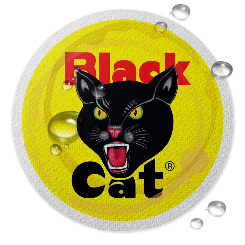 Black Cat-Coaster.jpg