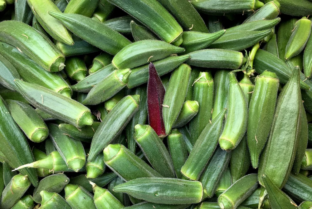 Best Okra Substitute Easy and Homemade Options