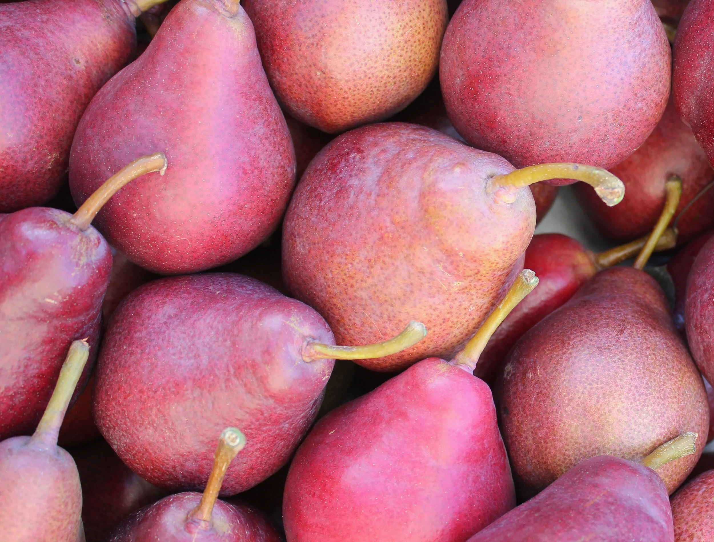 Featured Ingredient: Pears!