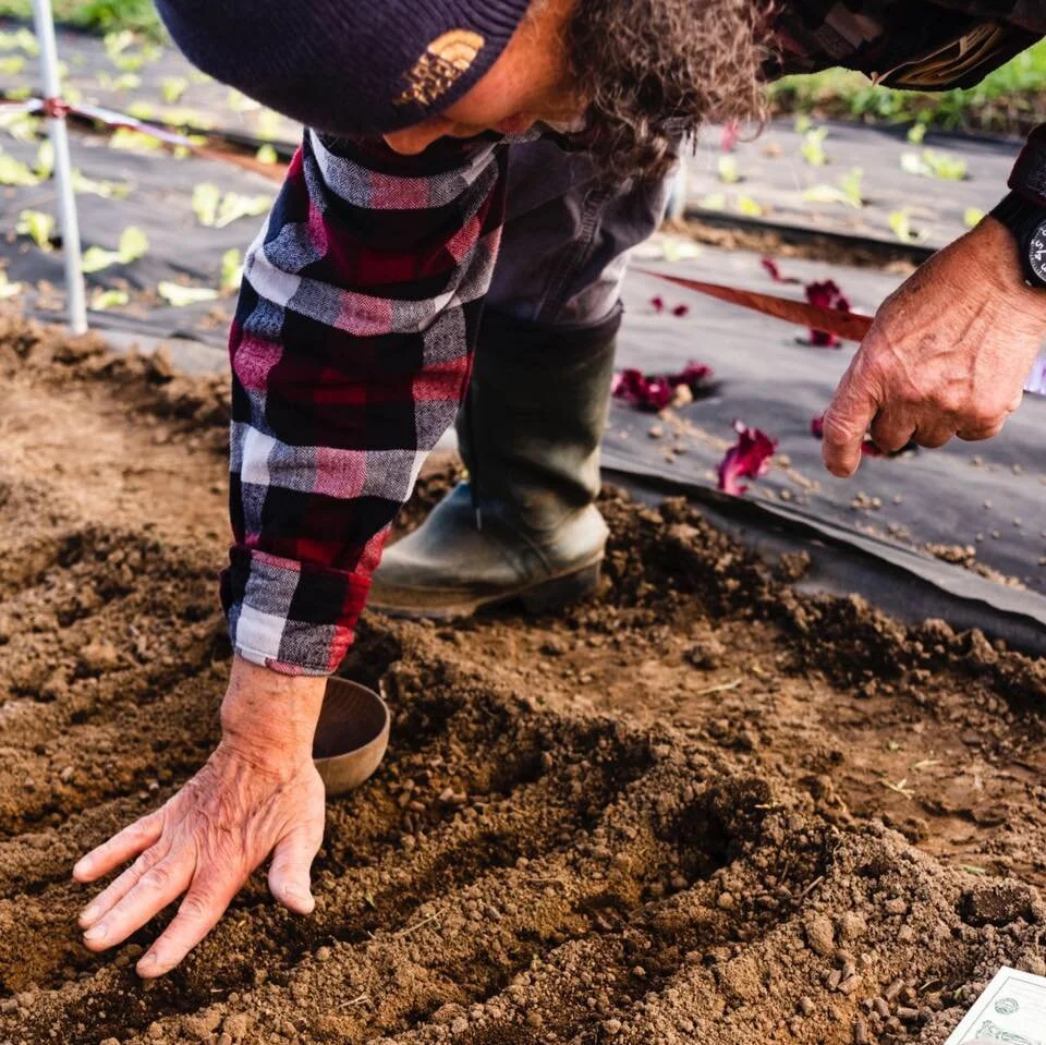 Meet Our Farmers: Mair Farm- Taki