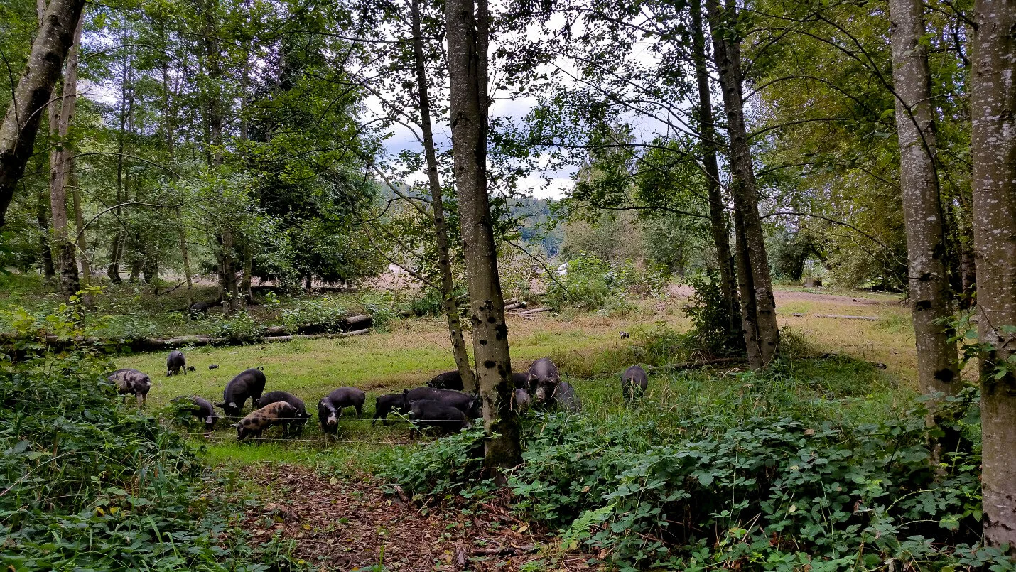 Meet Our Farmers: Nature’s Last Stand