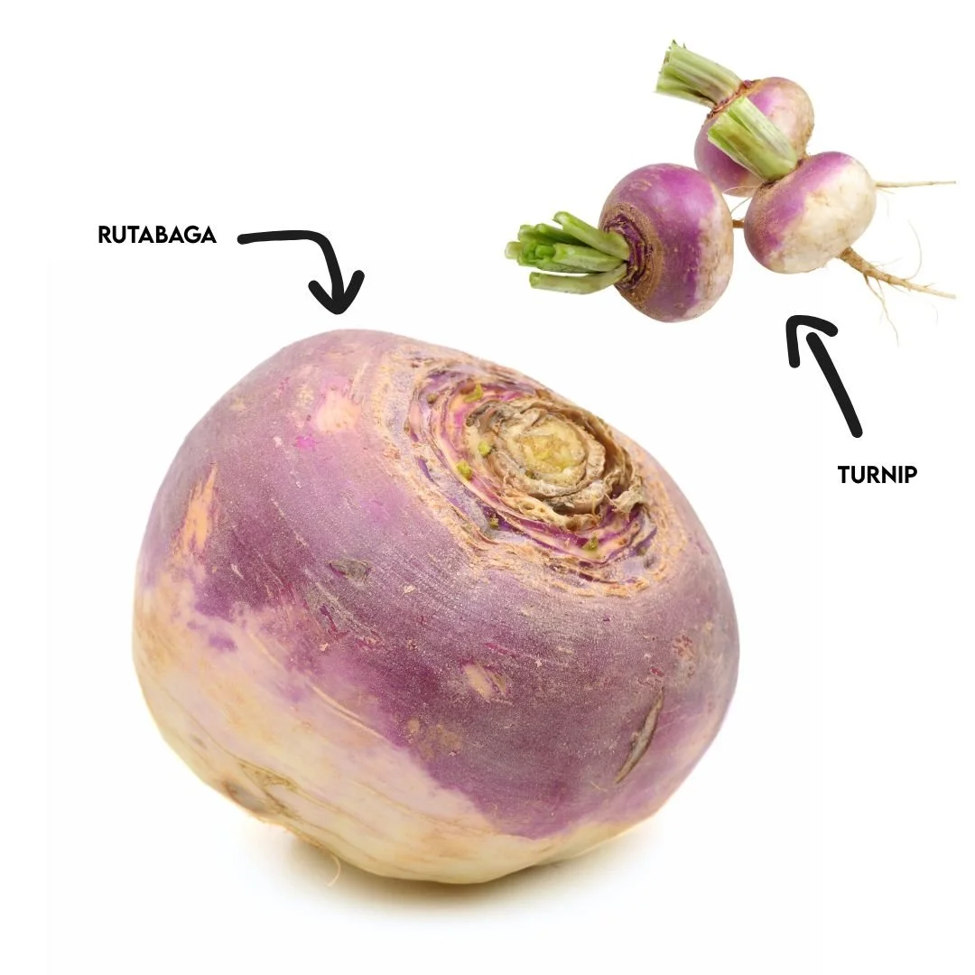 Winter Veggie Highlight: Rutabaga