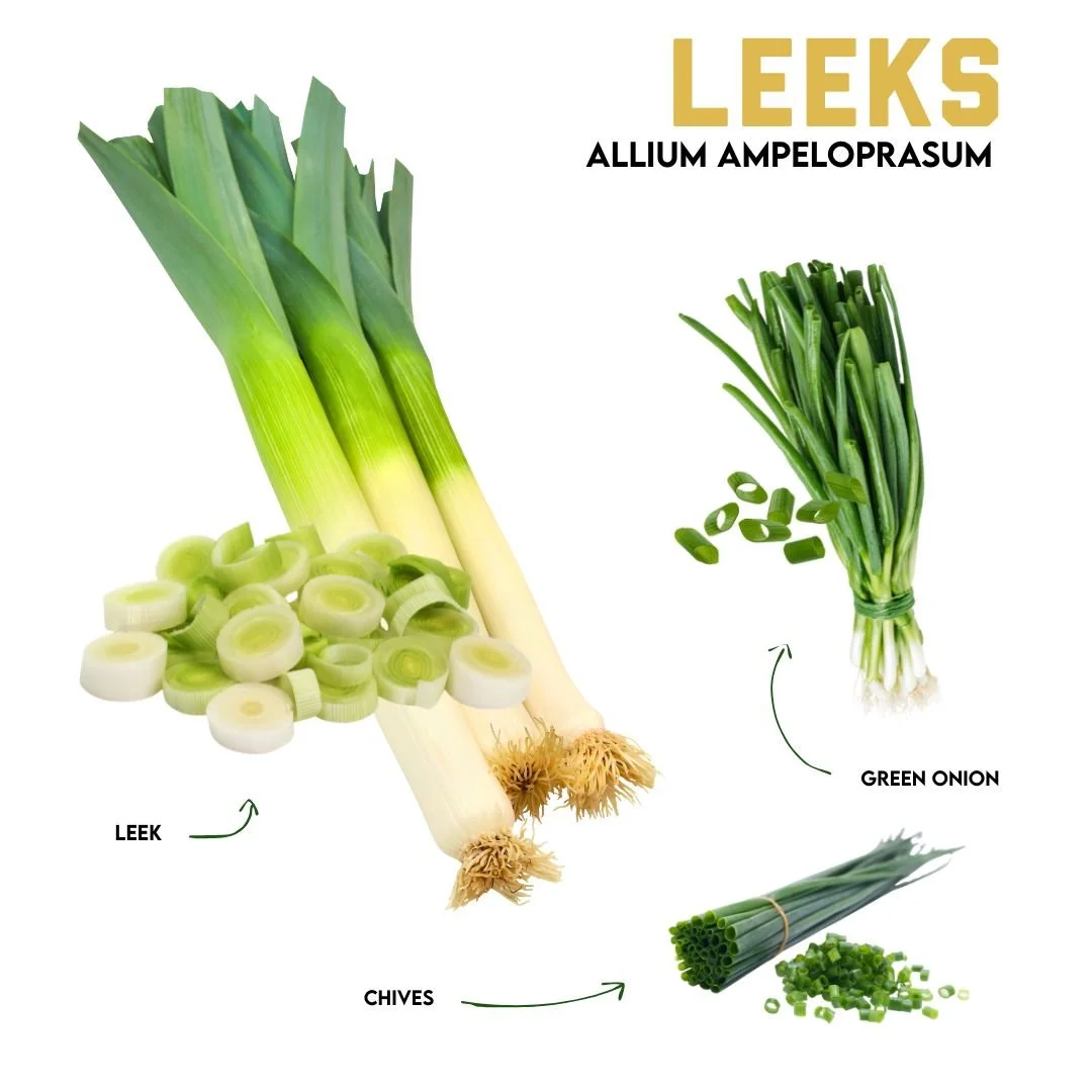 Winter Veggie Highlight: Leeks