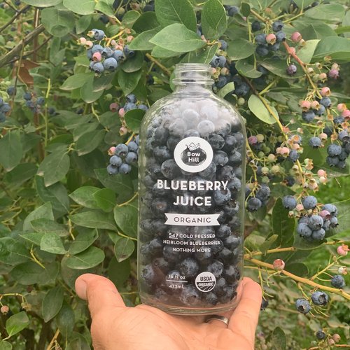 The Blueberry Files: Farmers' Market Partnership and New Ball
