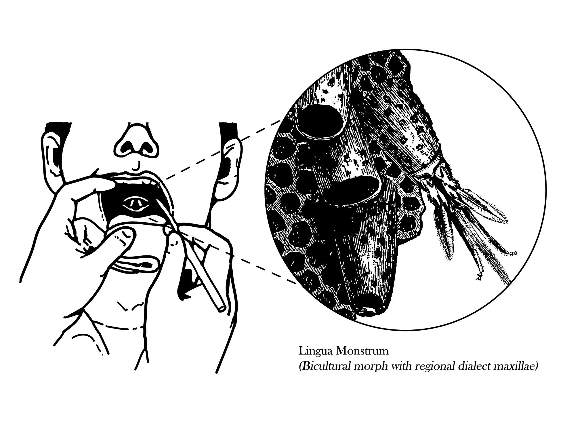 Misconceptions of the Monstrous Tongue Dispelled