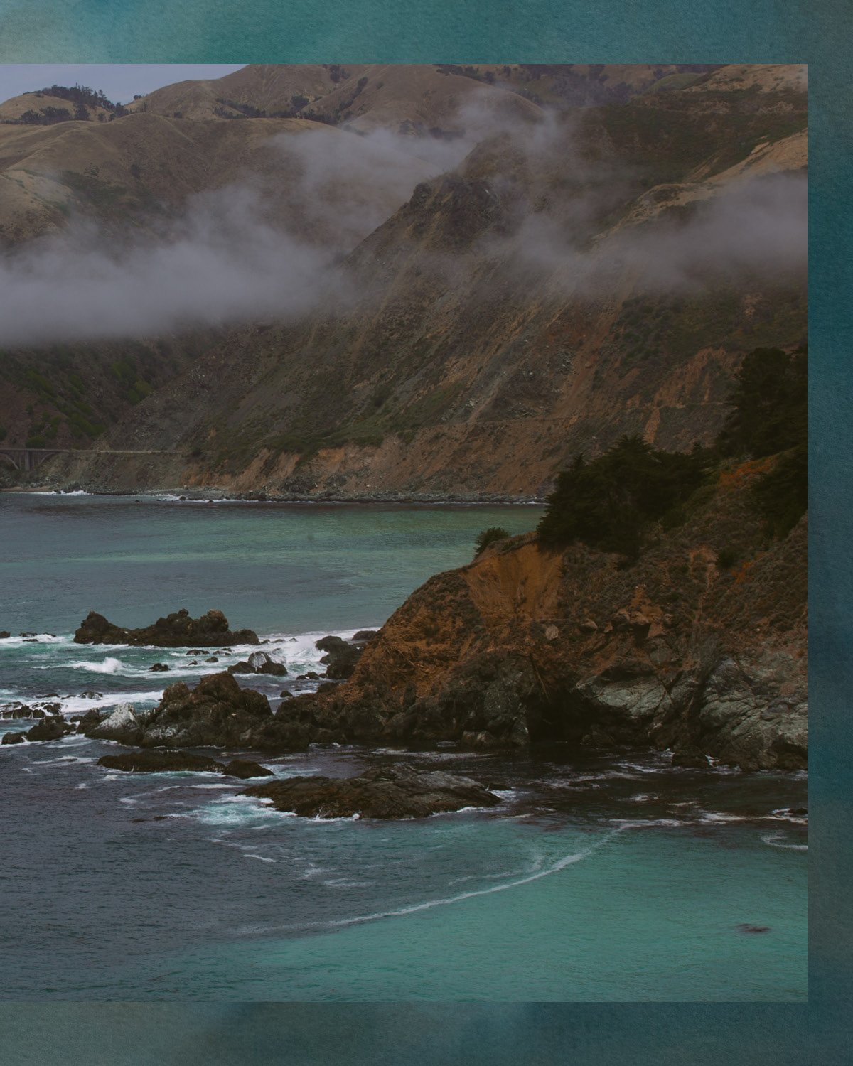 TCH INSTA POSTS - TIDEPOOLS4.jpg