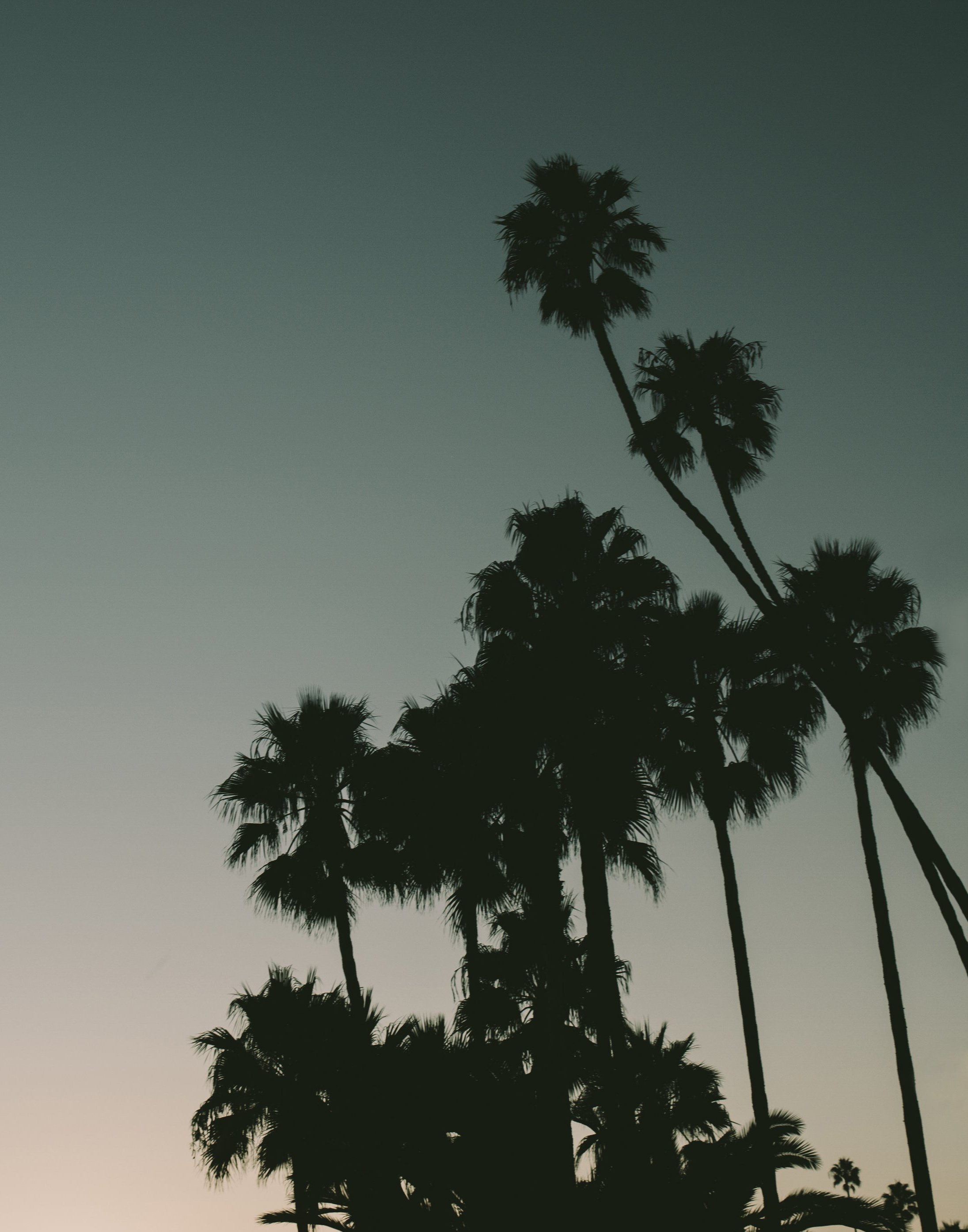 LAGUNA+11+X+14.jpg