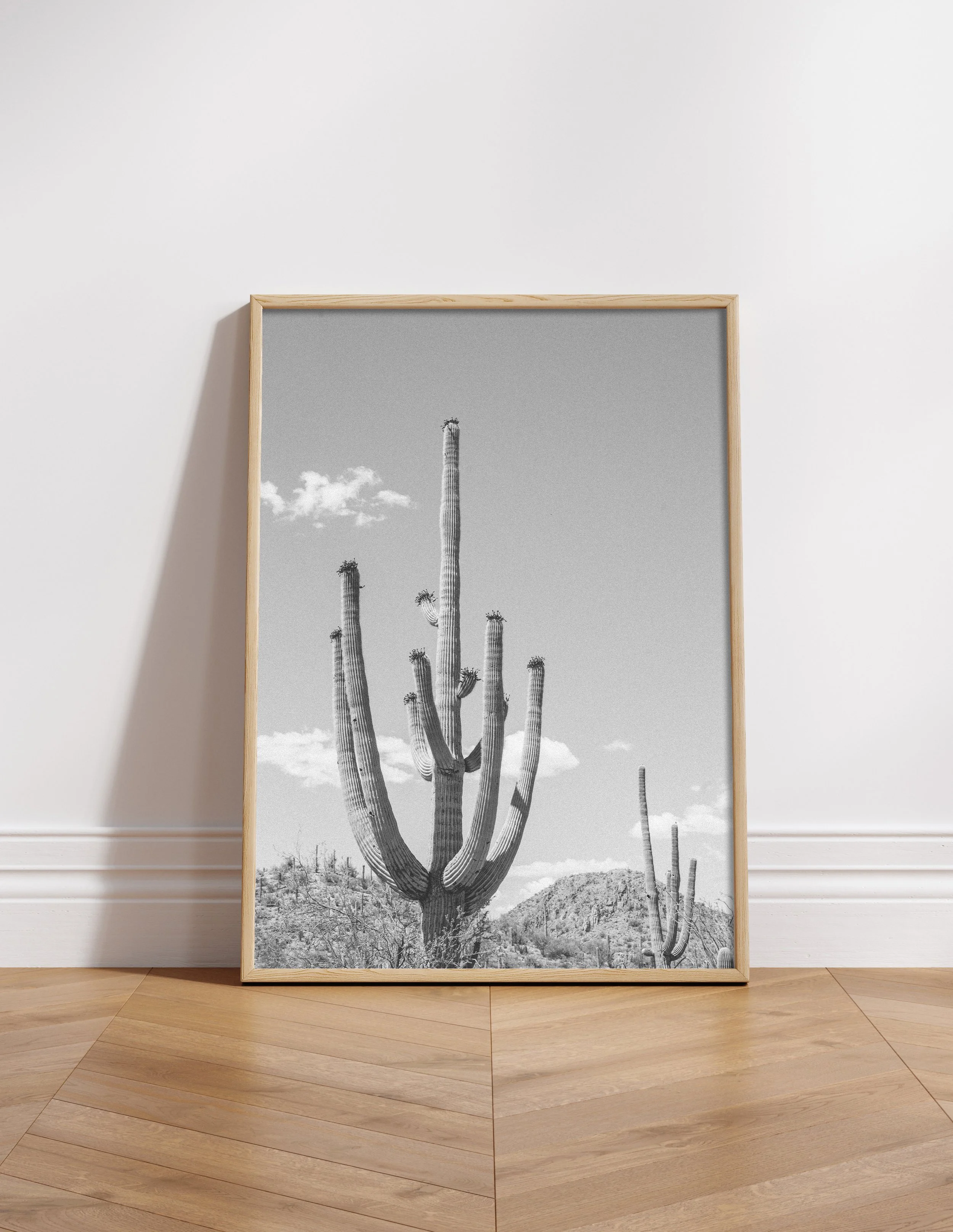 Saguaro