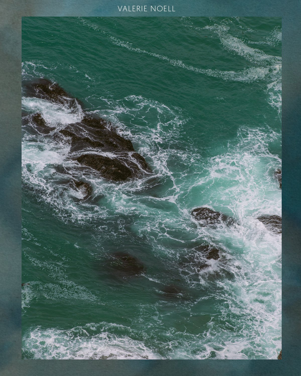 TCH INSTA POSTS - TIDEPOOLS2.jpg