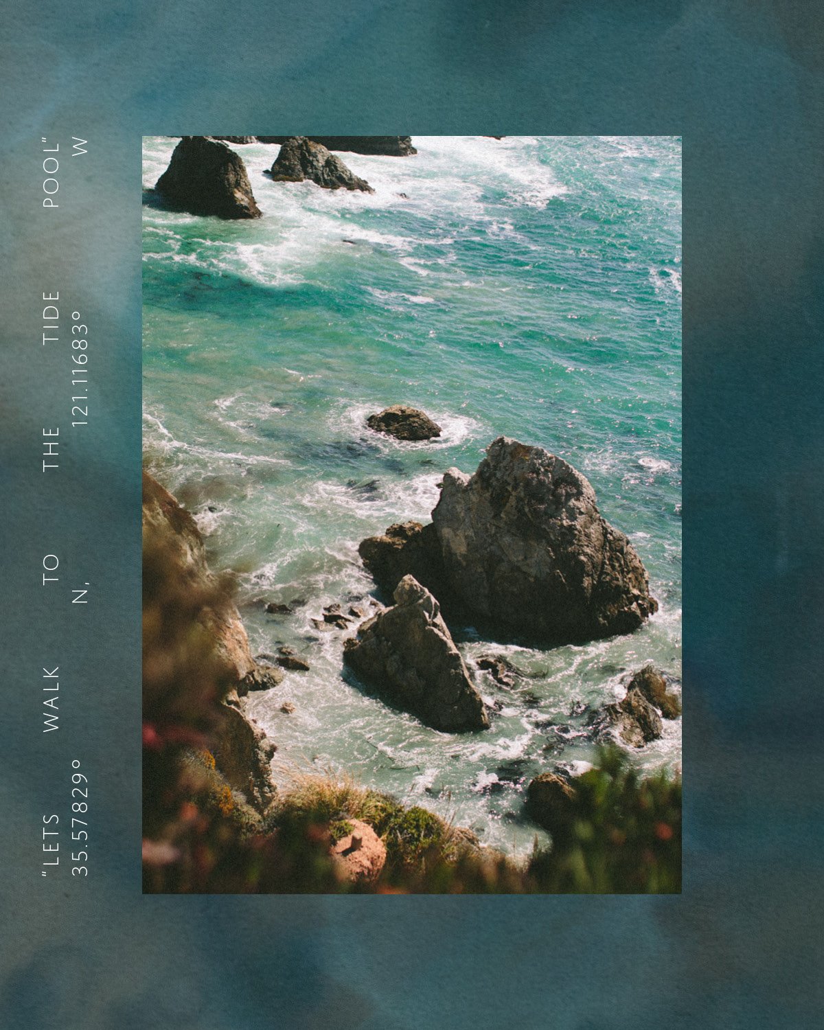 TCH INSTA POSTS - TIDEPOOLS6.jpg